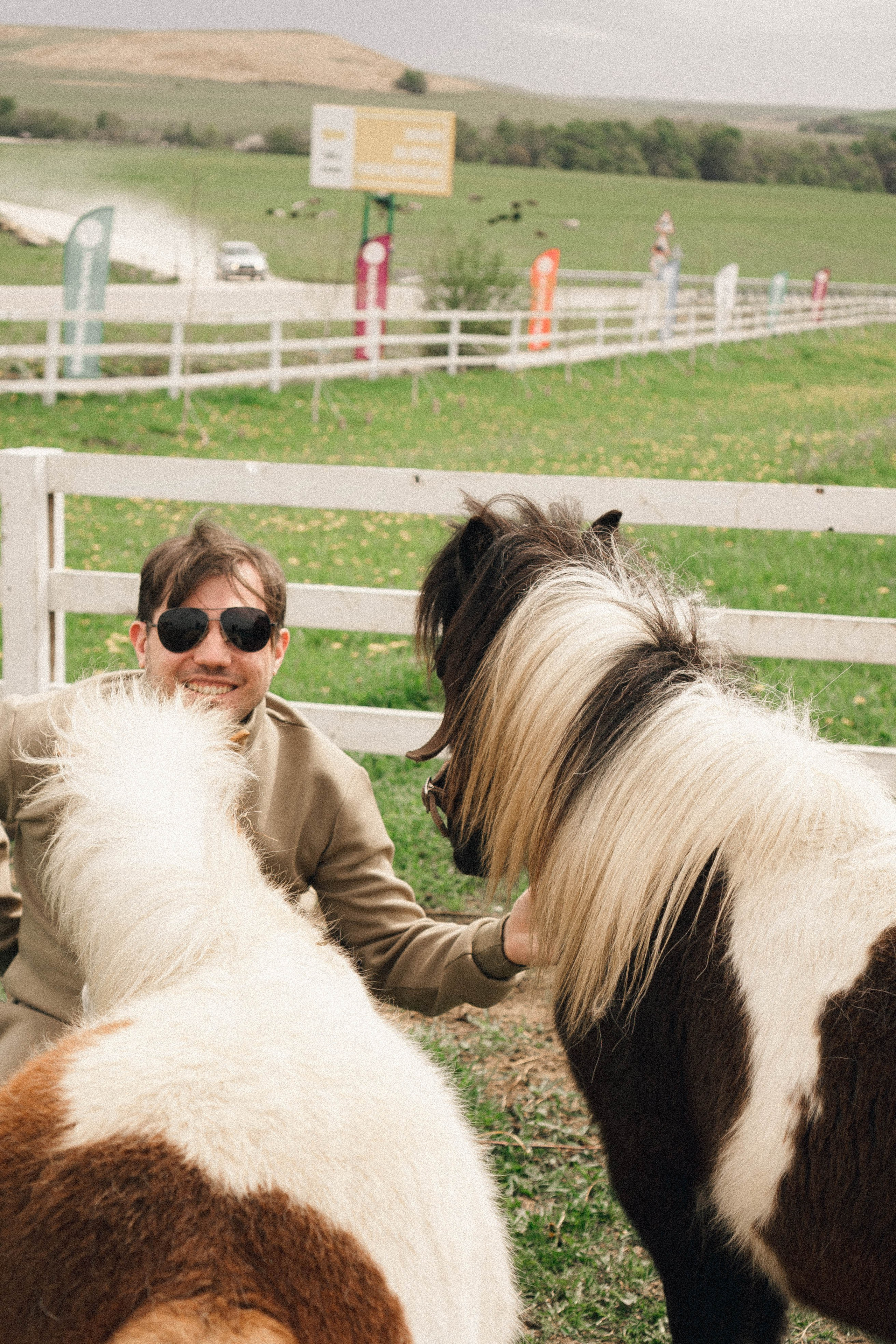 Ферма Альпак. Профессиональный фотограф, Санкт-Петербург — Виктория Богомолова