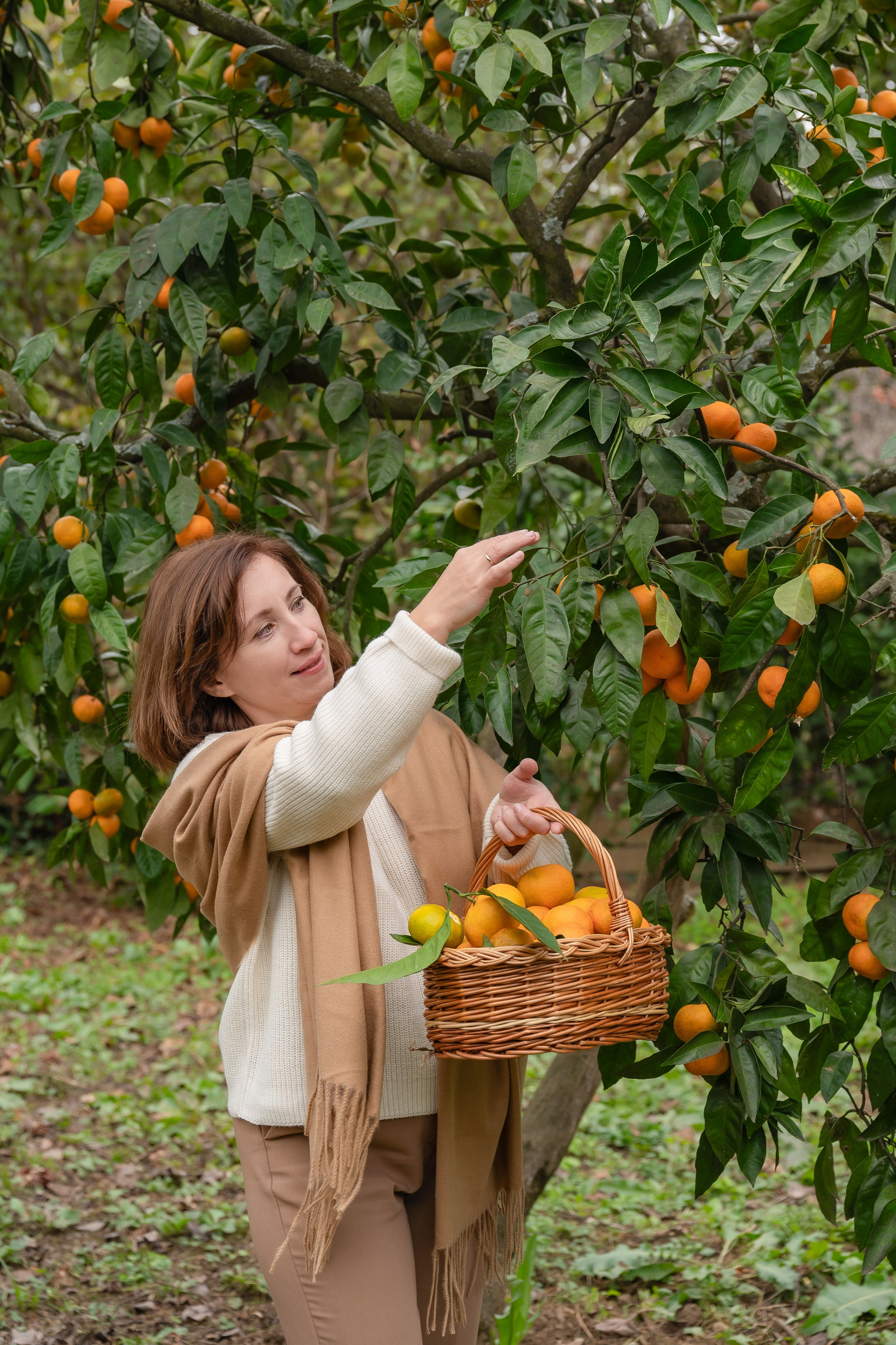 Феи мандаринов Эльвира и Дианочка. Наталья Слесаренко фотограф в Сочи