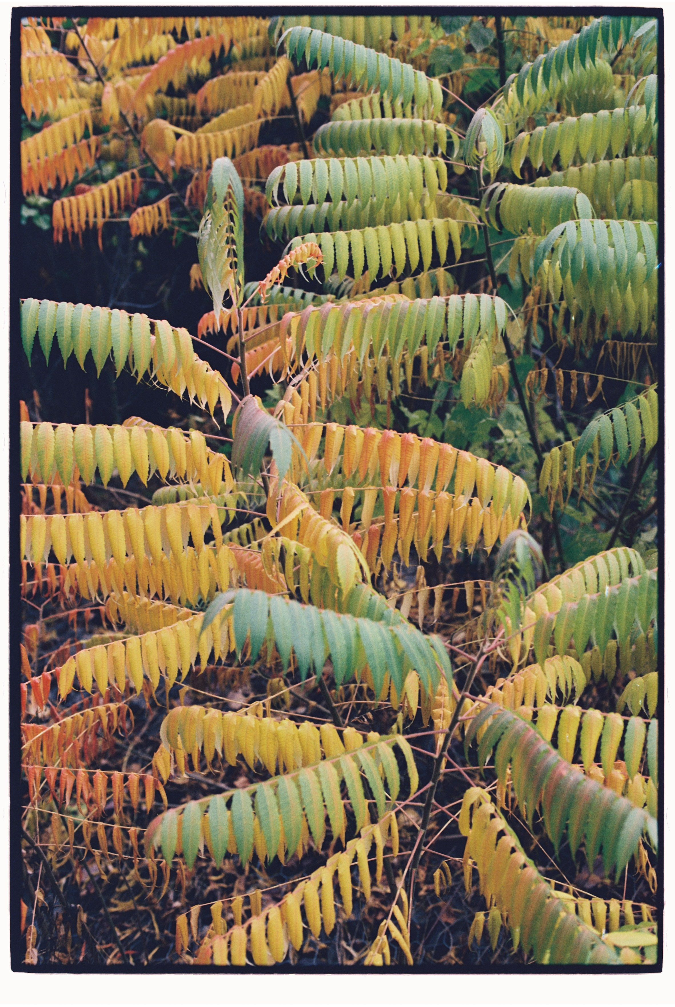 Almaty. Philipp Yelistratov