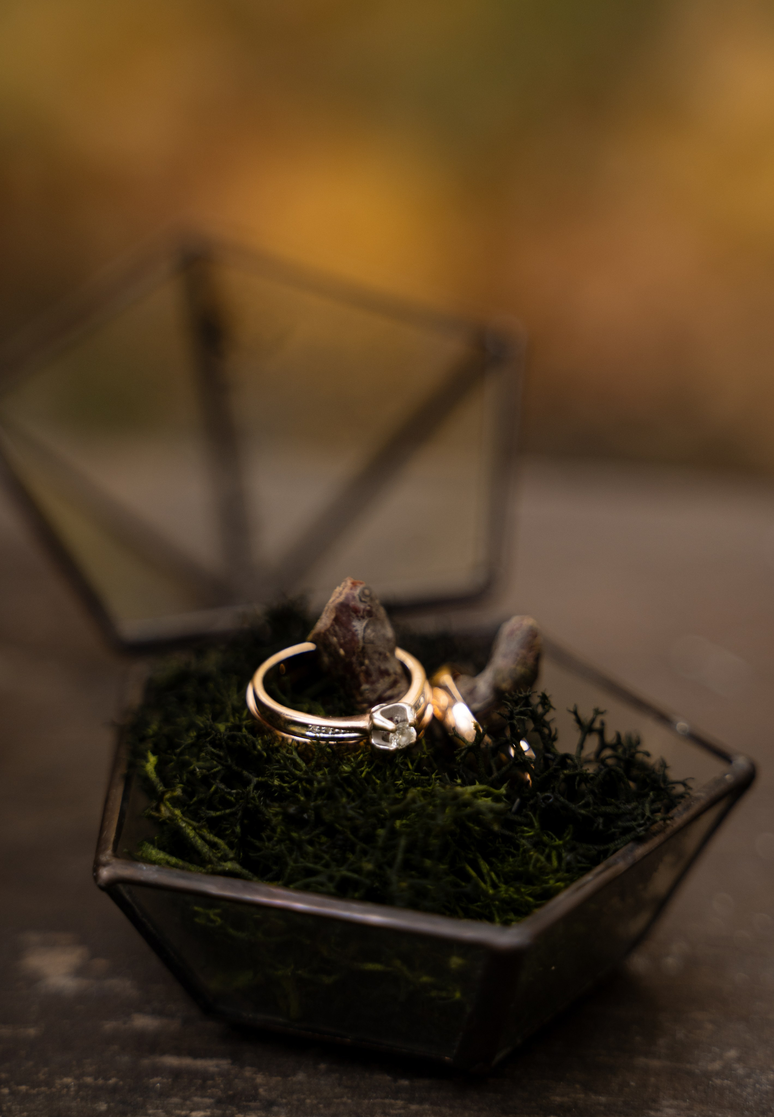 Давид и Екатерина. Свадебный фотограф Тула