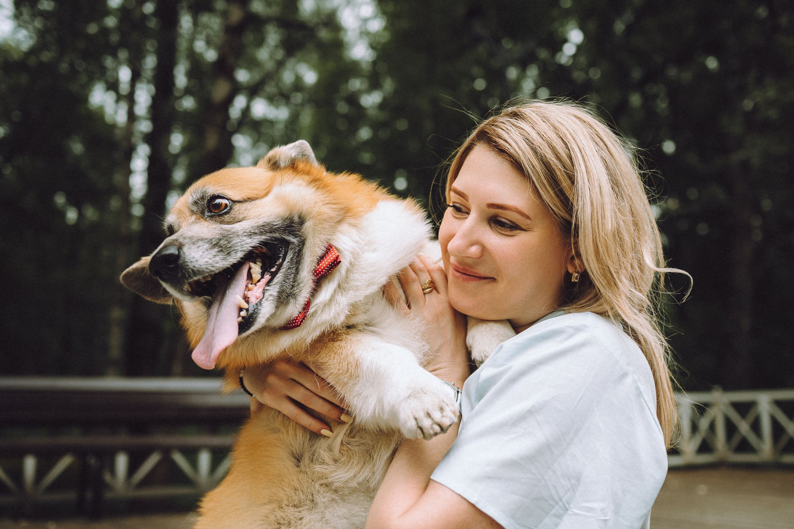 Ира, Леша и Харли