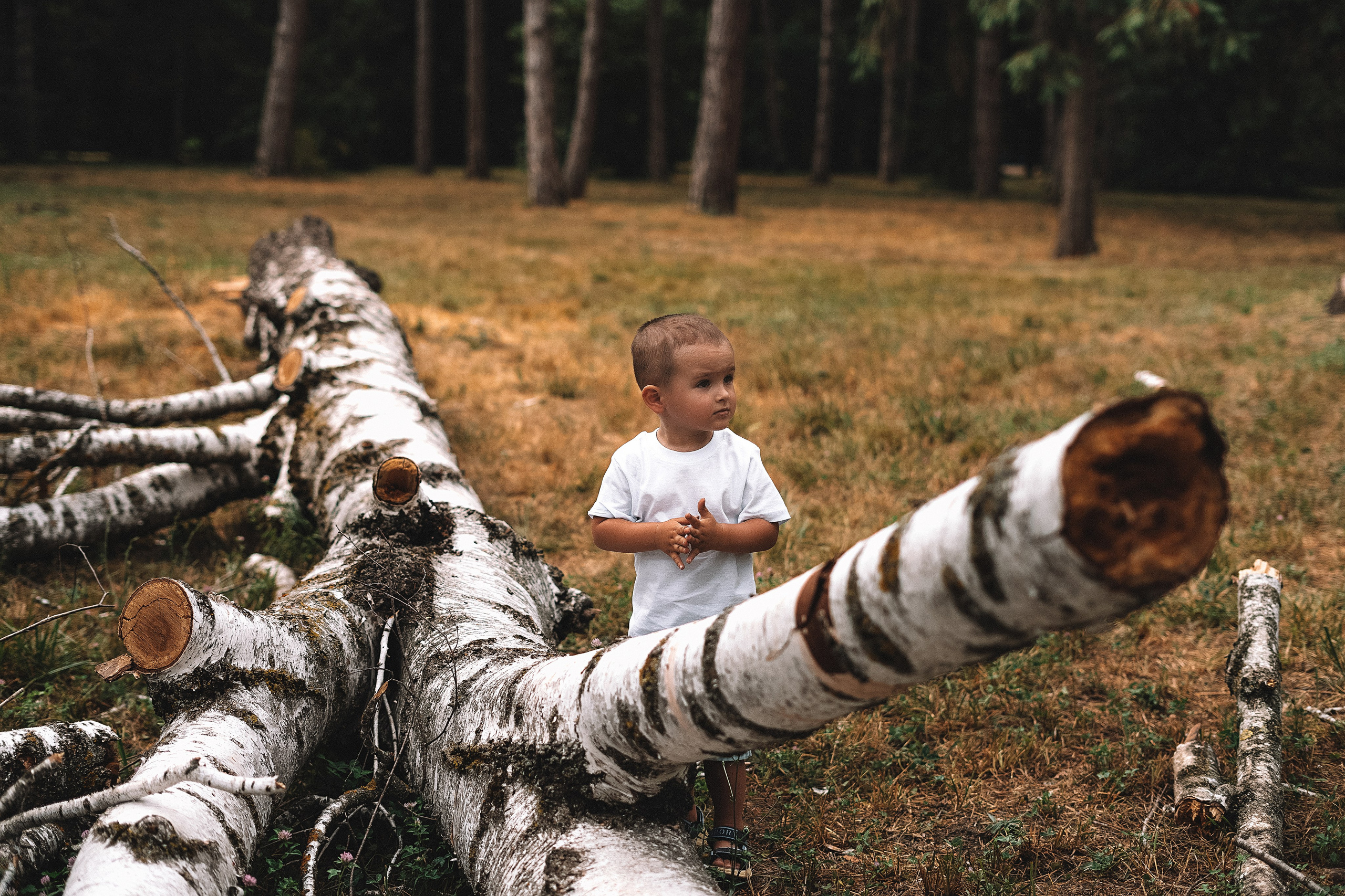 Дендрарий. Свадебный и семейный фотограф/видеограф в Краснодаре Наталья Осинская