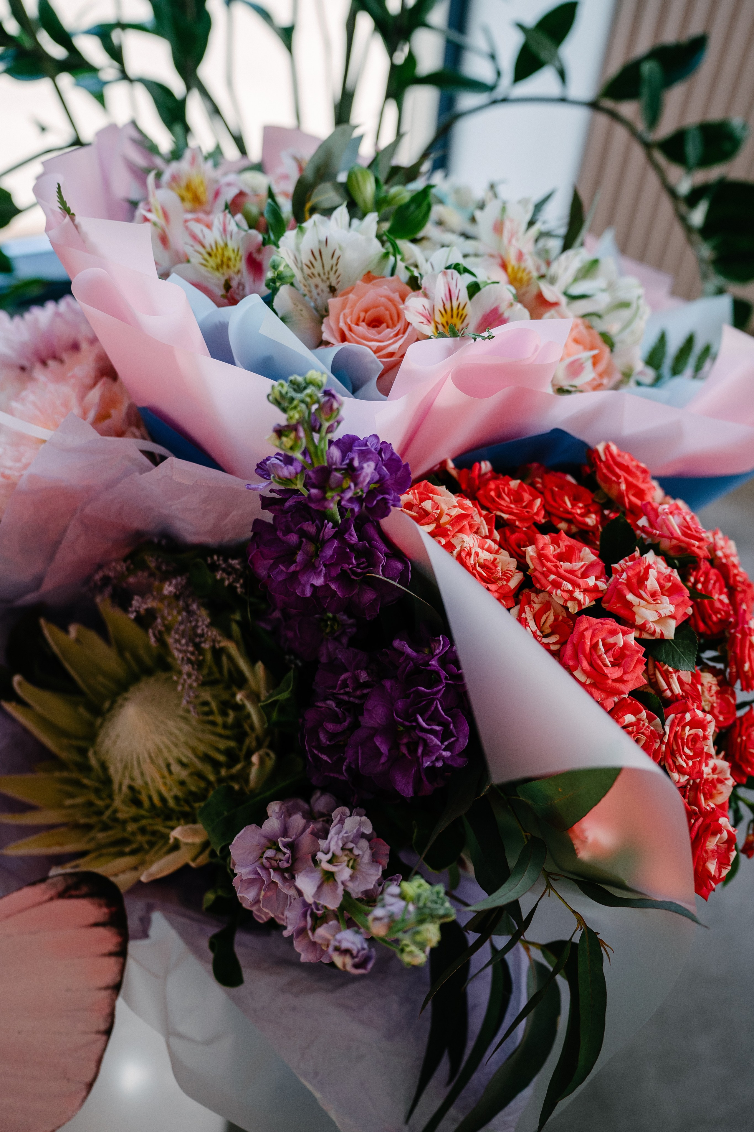 Марии 5 лет. Свадебный и семейный фотограф в Воронеже Анастасия Бойко