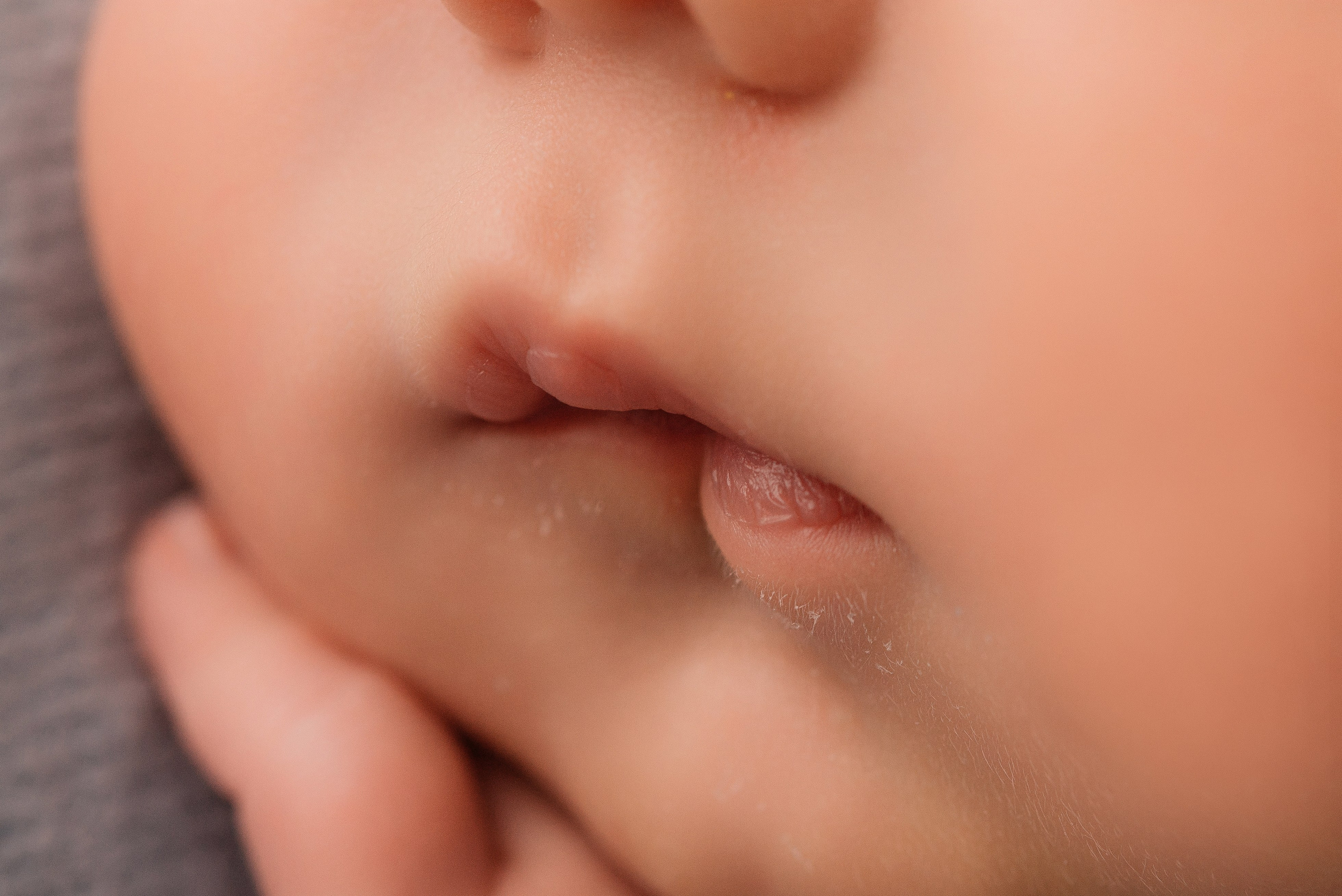 Тимофей. Фотограф новорожденных Белгород