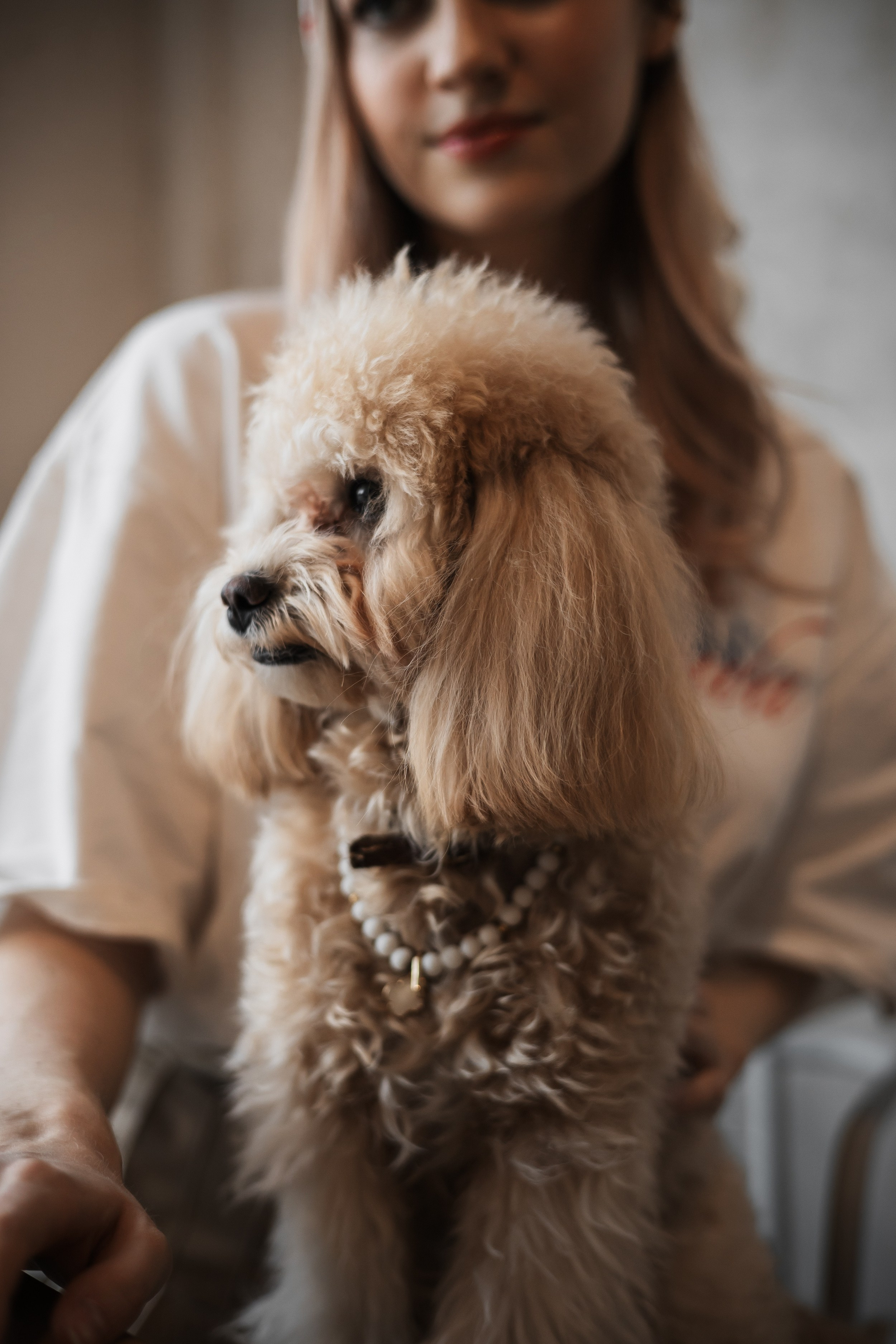 Алина — прогулка