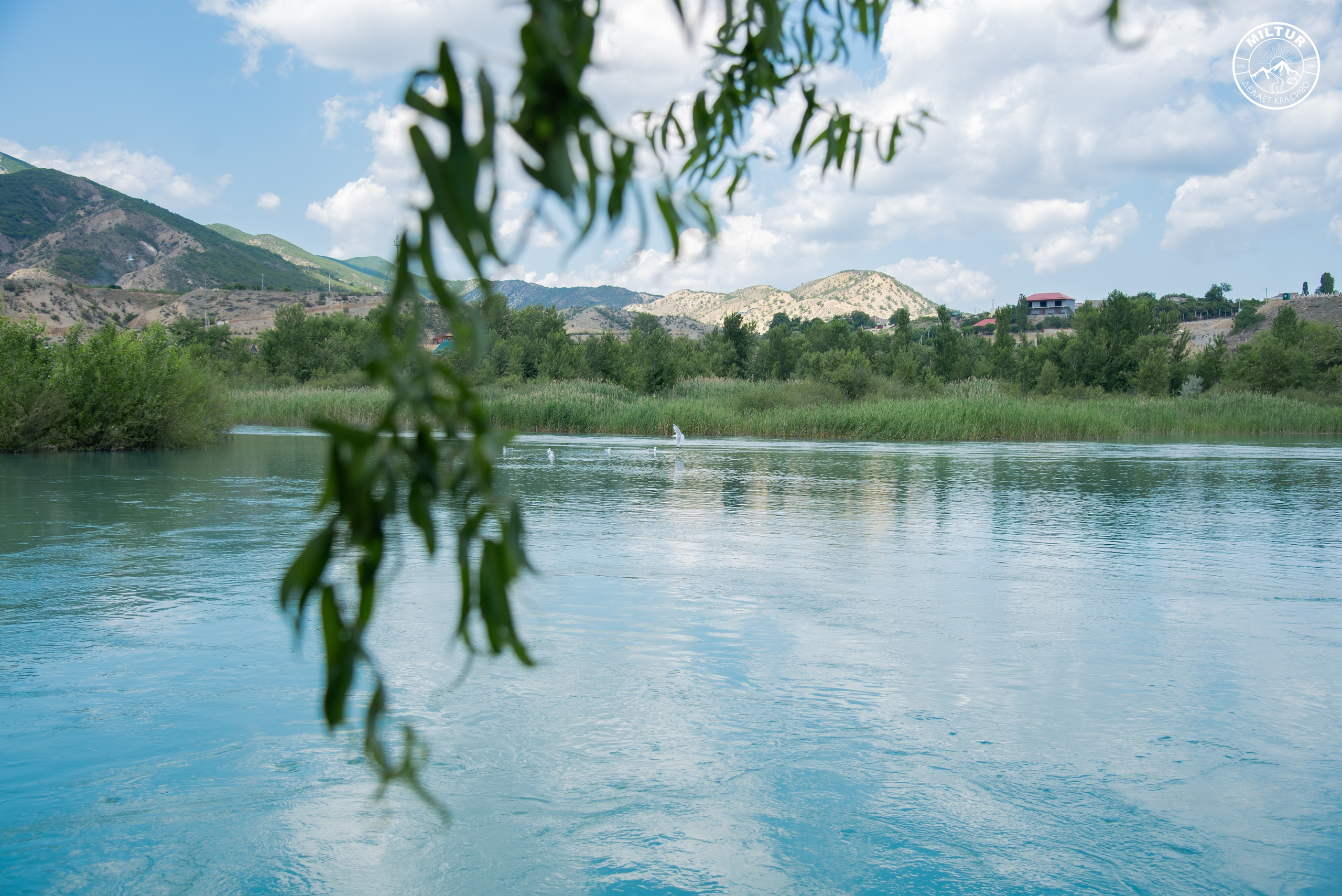 Тур в Чечню. Фотограф Галина Нестерова