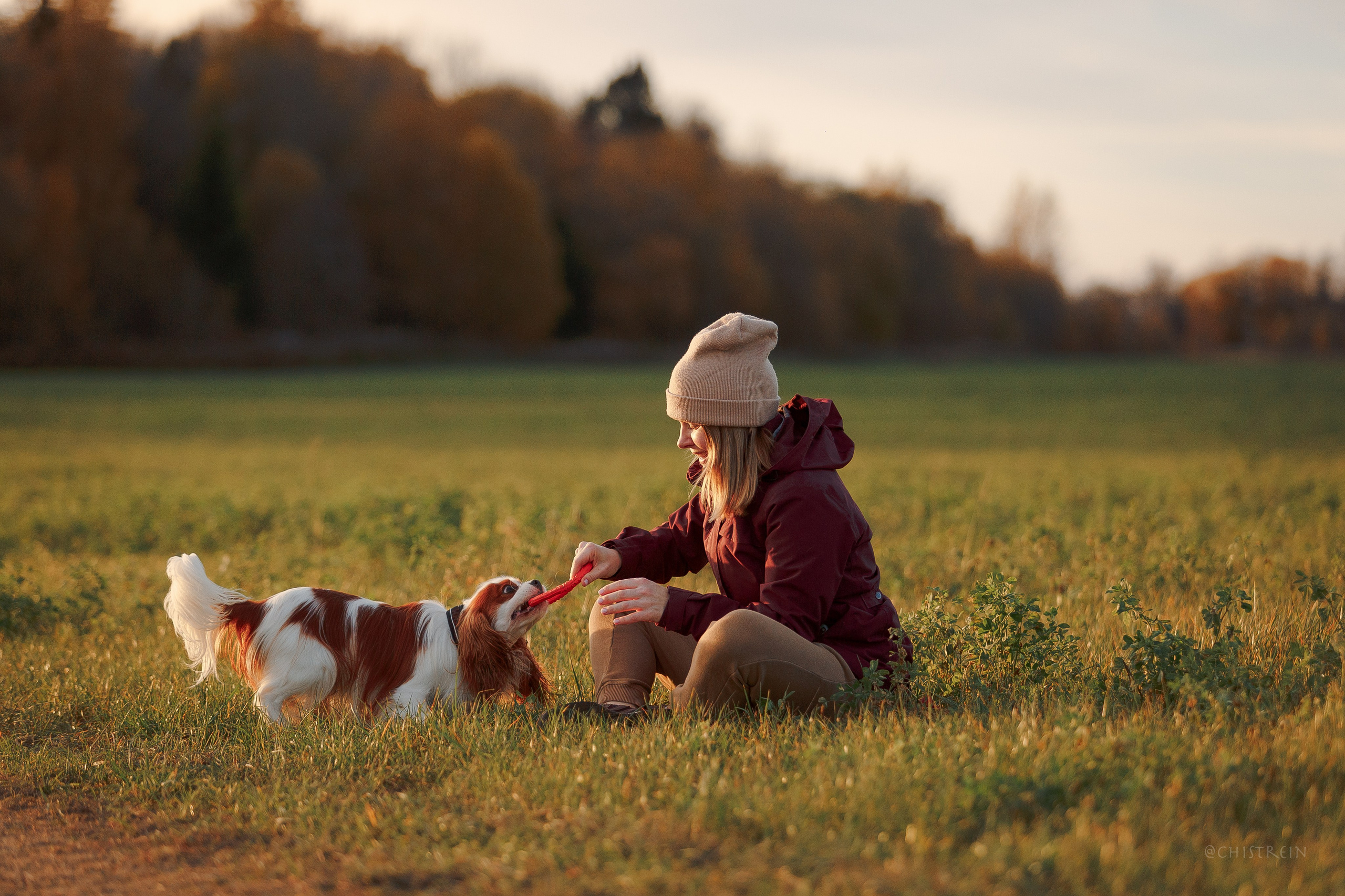 Октябрьский закат в полях. Алина и Лео. Фотограф-анималист Наталия Чистюхина в г. Сосновый Бор и ЛО