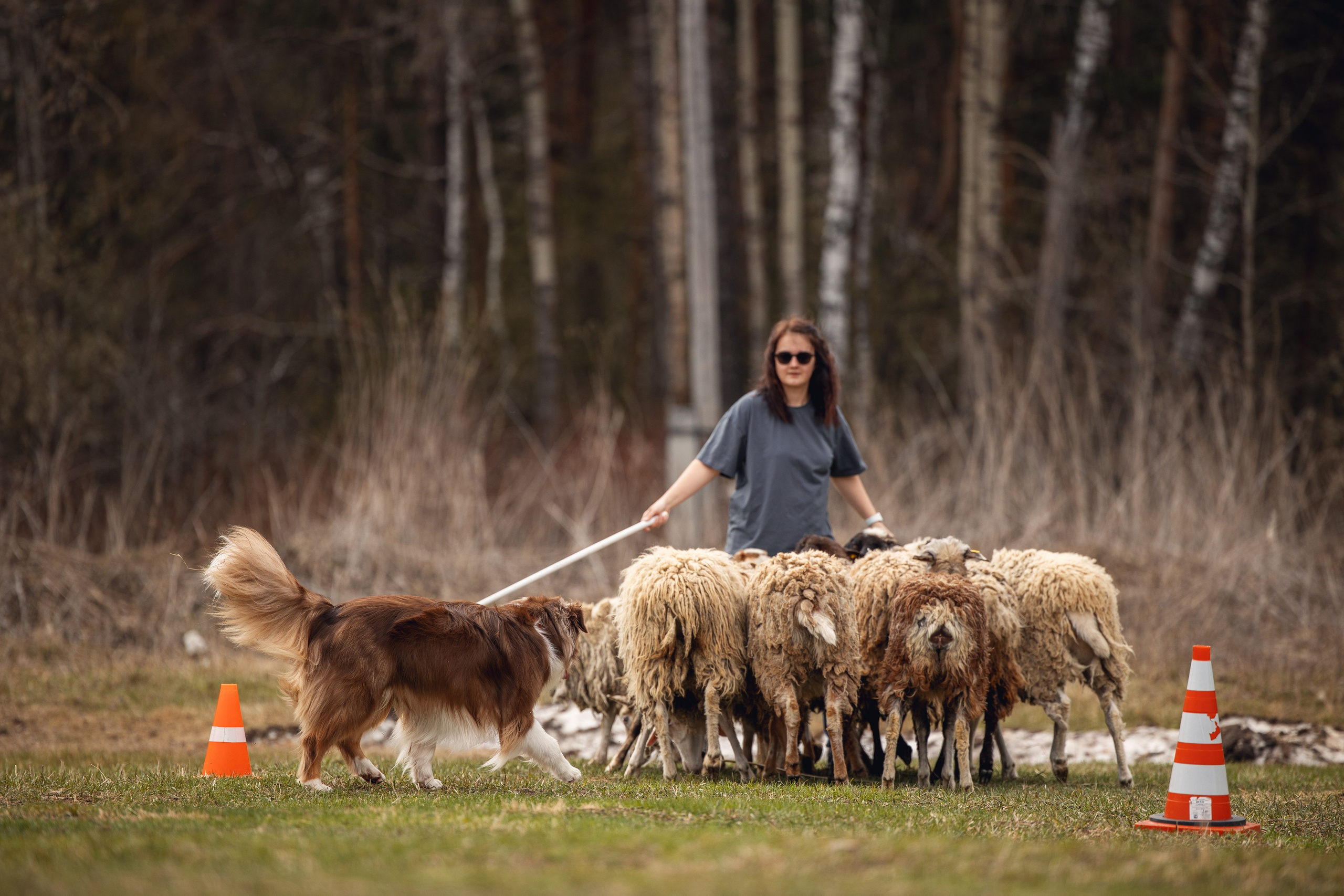Анна и Вуди. YULA KOLESOVA | Фотограф — Анималист | Художник | Тюмень