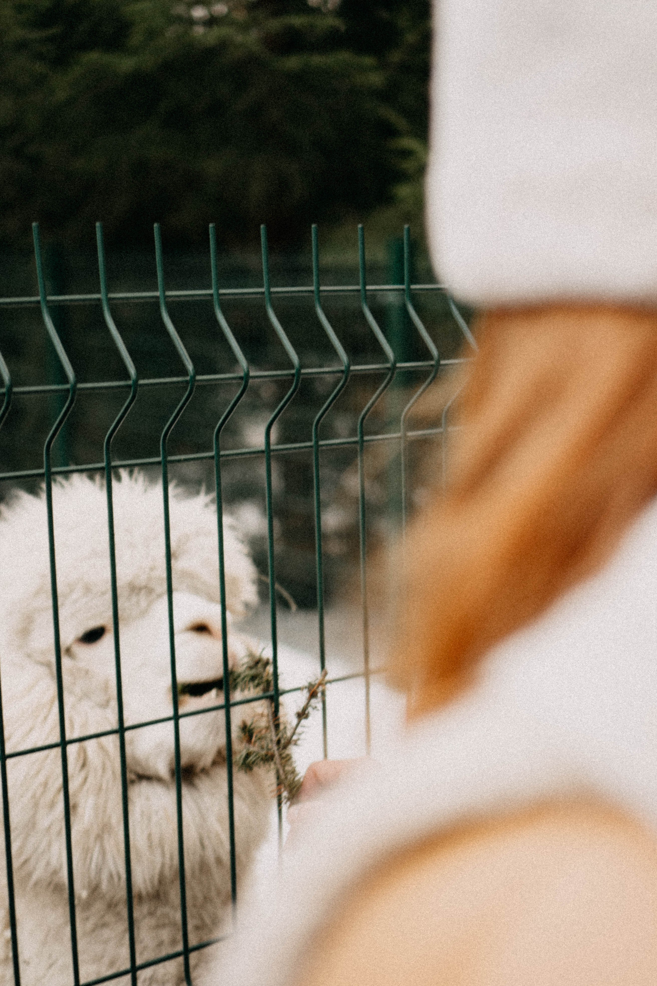 Каток. Профессиональный фотограф, Санкт-Петербург — Виктория Богомолова