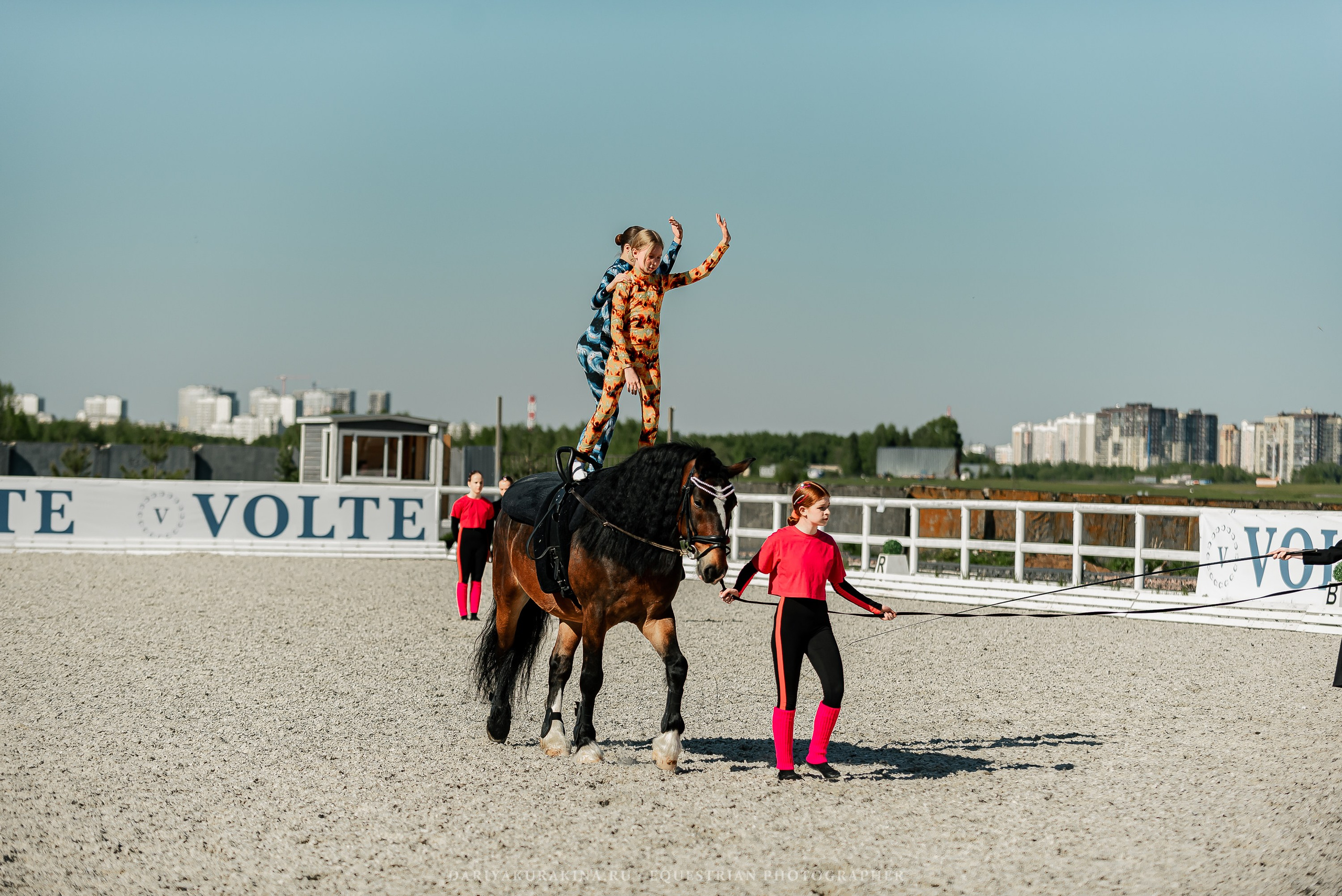 РЕПОРТАЖ МКК ВОЛЬТ «LA TULIPS». Конный фотограф Куракина Дарья • Фотосессии с лошадьми