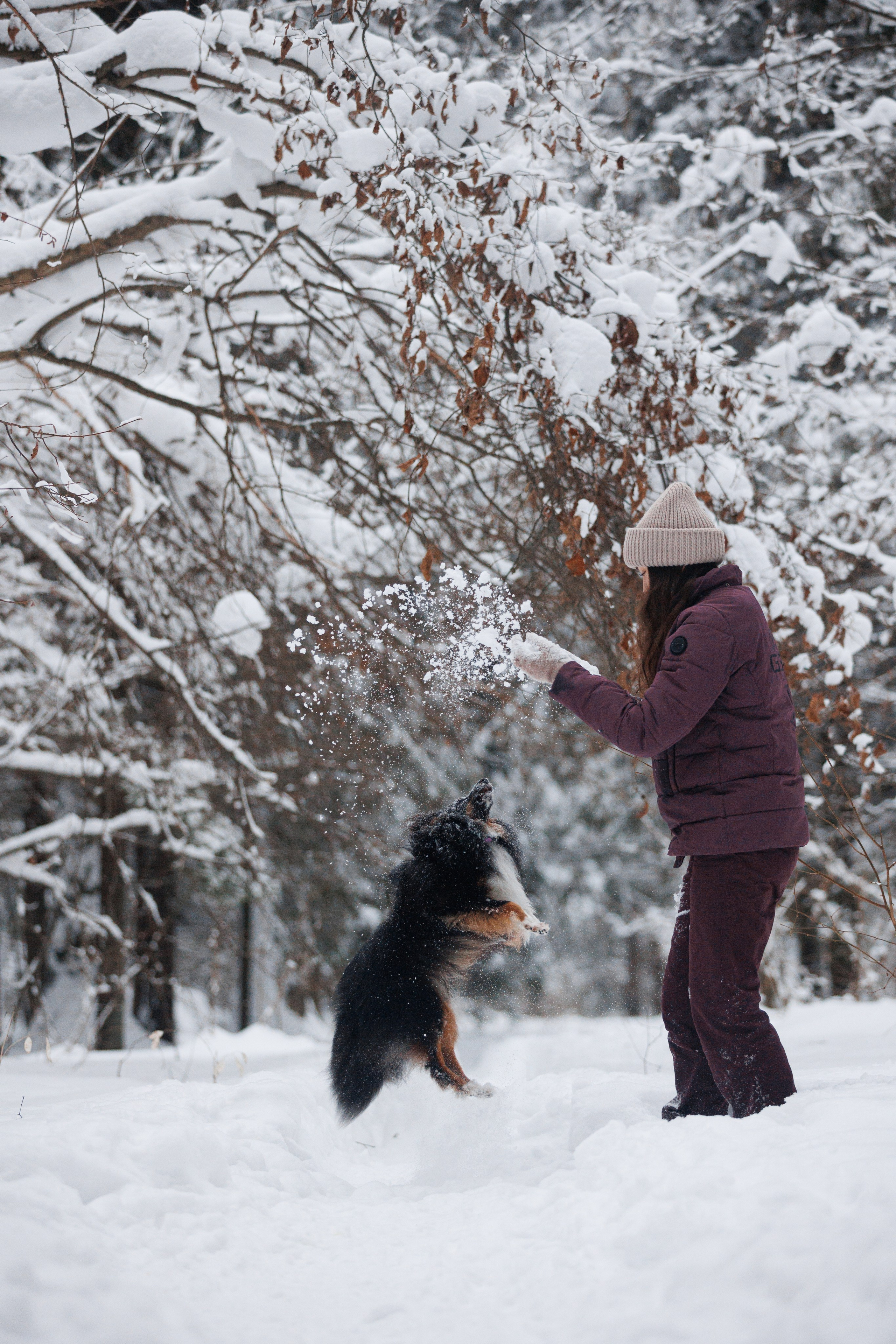 Даша и компания. Фотограф анималист Кристина Карпова, Москва