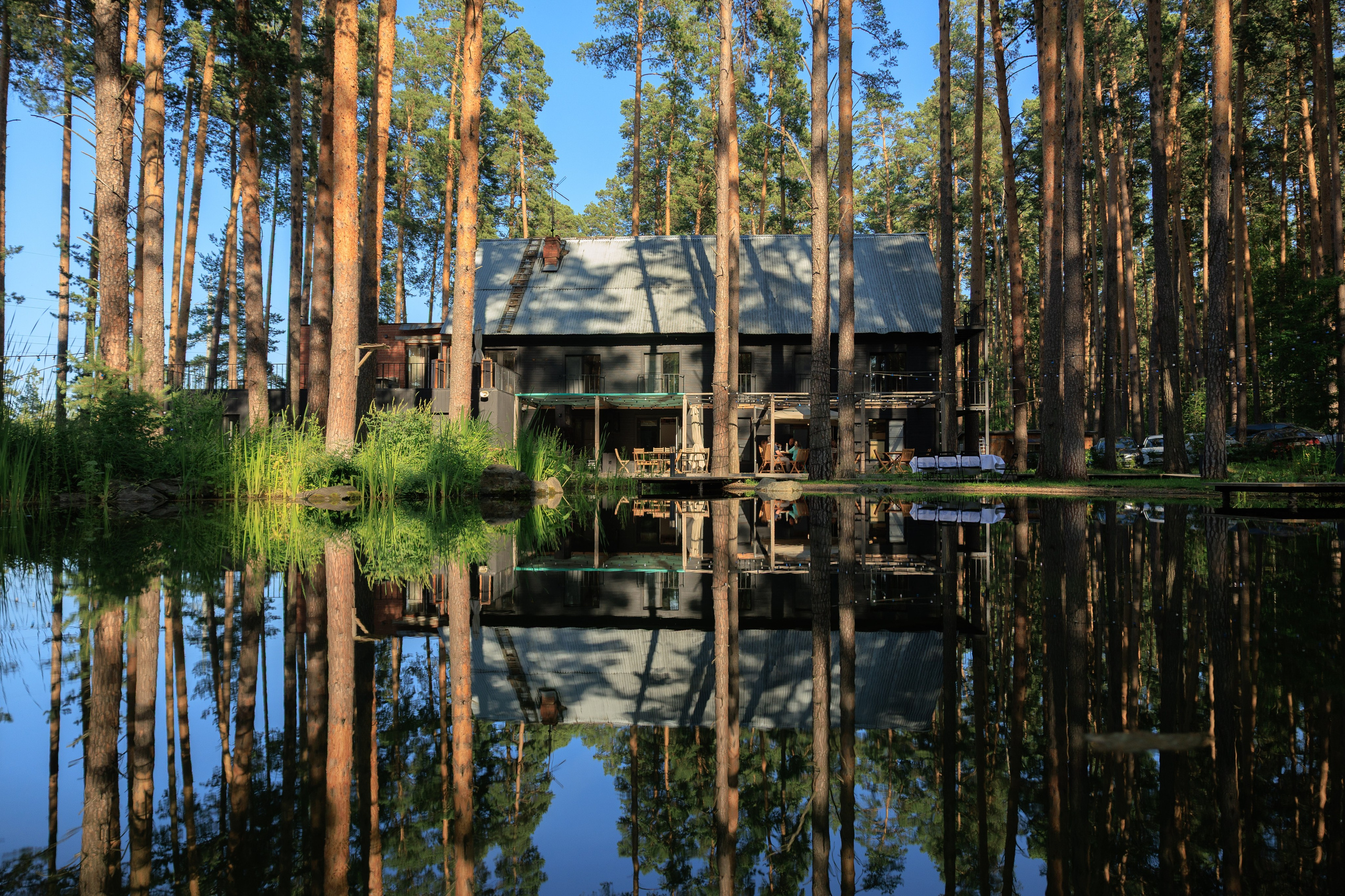Корпоратив в «Лесу». Контент для бизнеса в Екатеринбурге Полдень Медиа