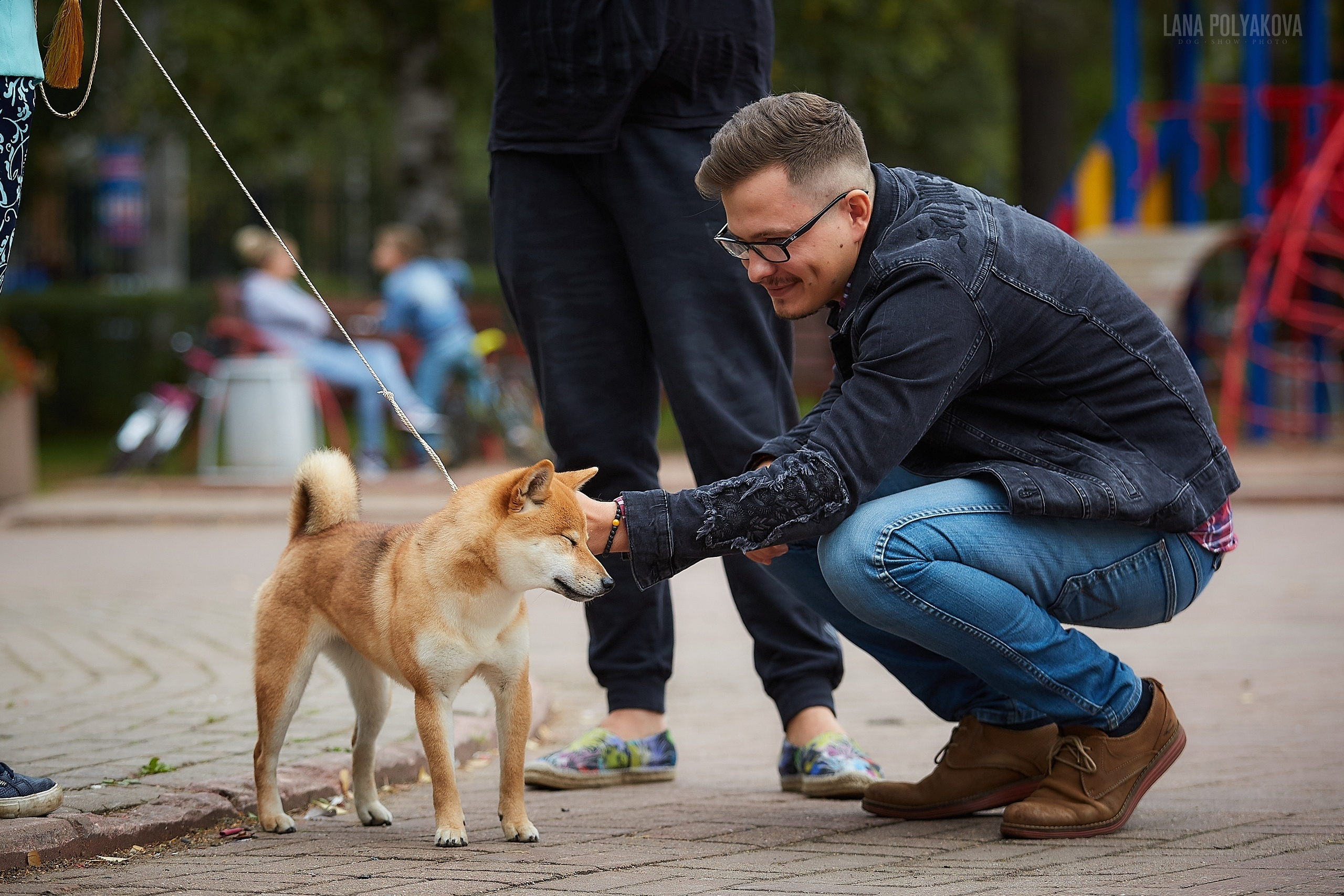 Сиба сиба-ину сибаину в Санкт-Петербурге
