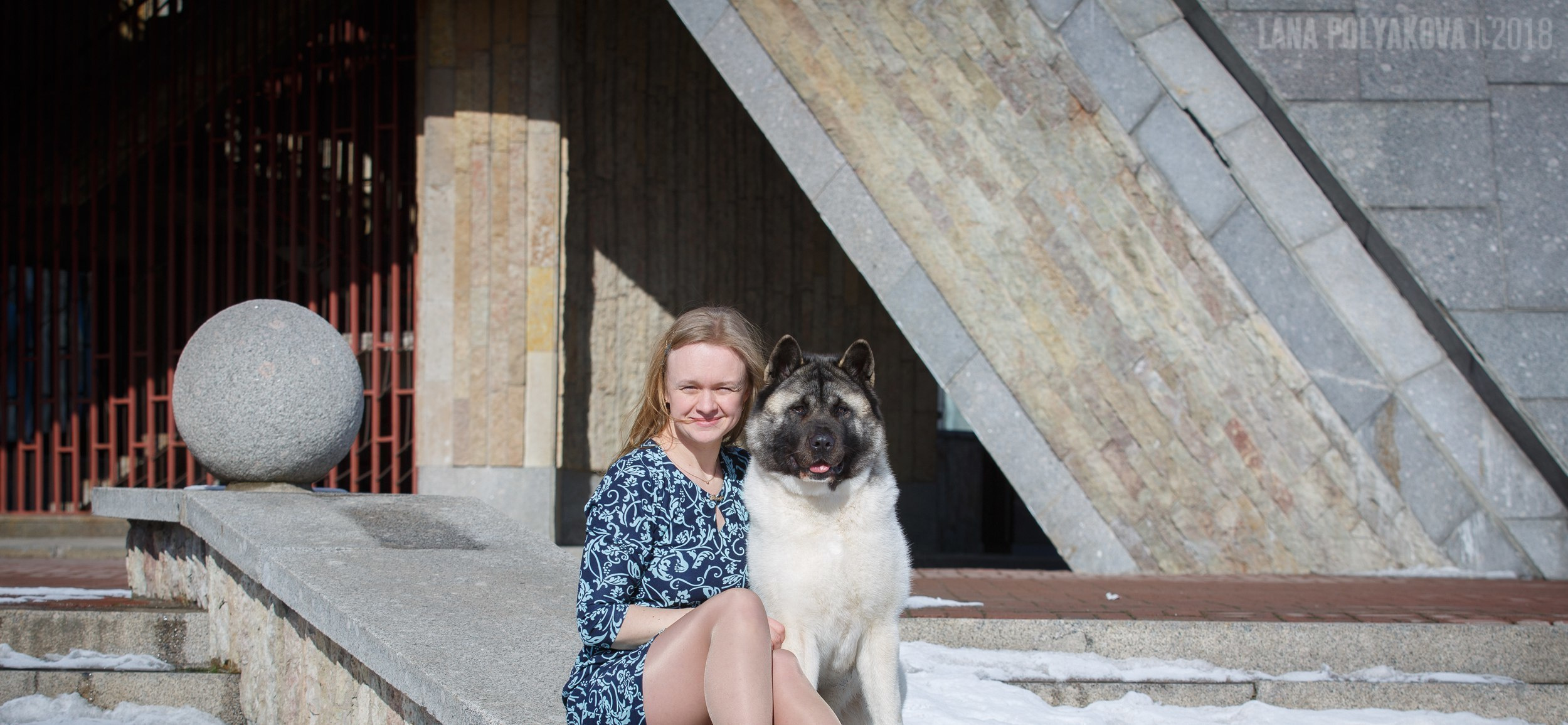 Лара * DANCING QUEEN, Американская акита Санкт-Петербург, питомник RUBYLIGHT