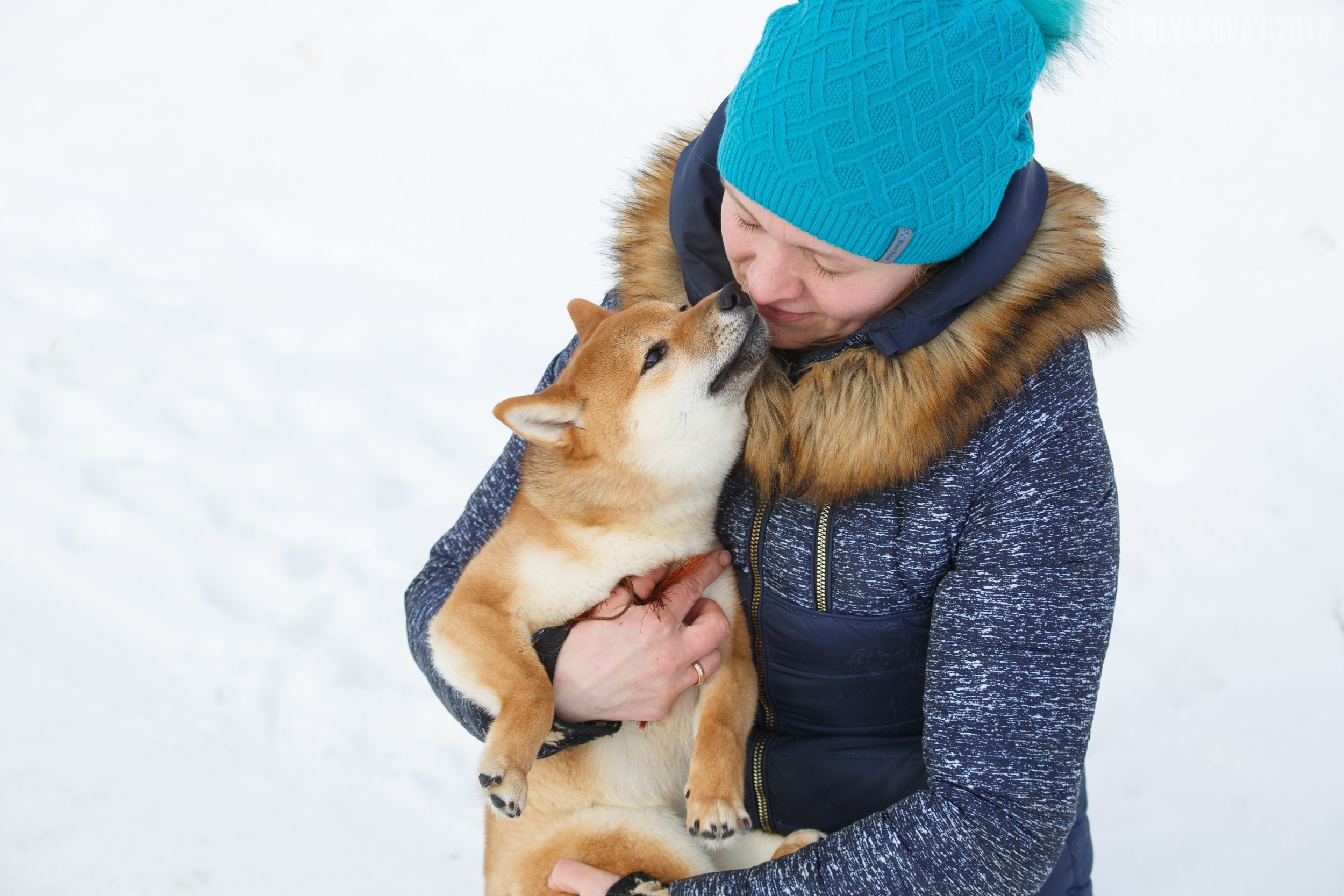 Сиба сиба-ину сибаину в Санкт-Петербурге
