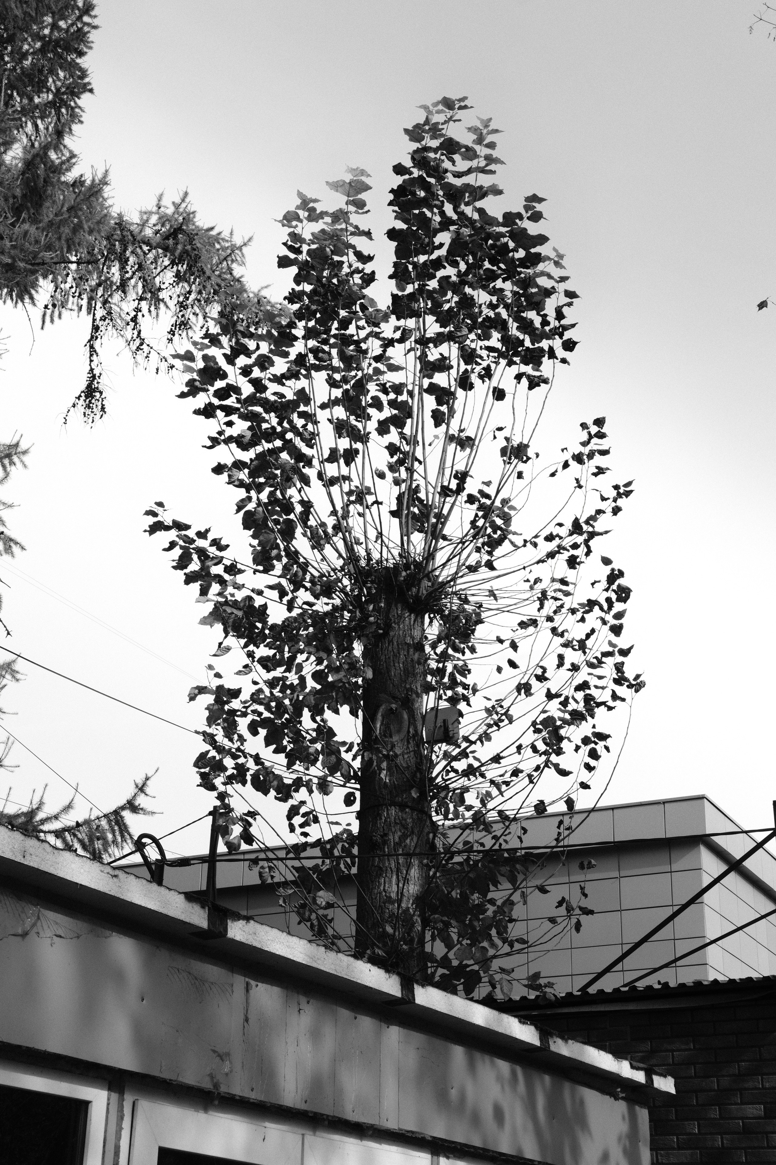 Чехов-Серпухов. Фотограф Маргана Лоция