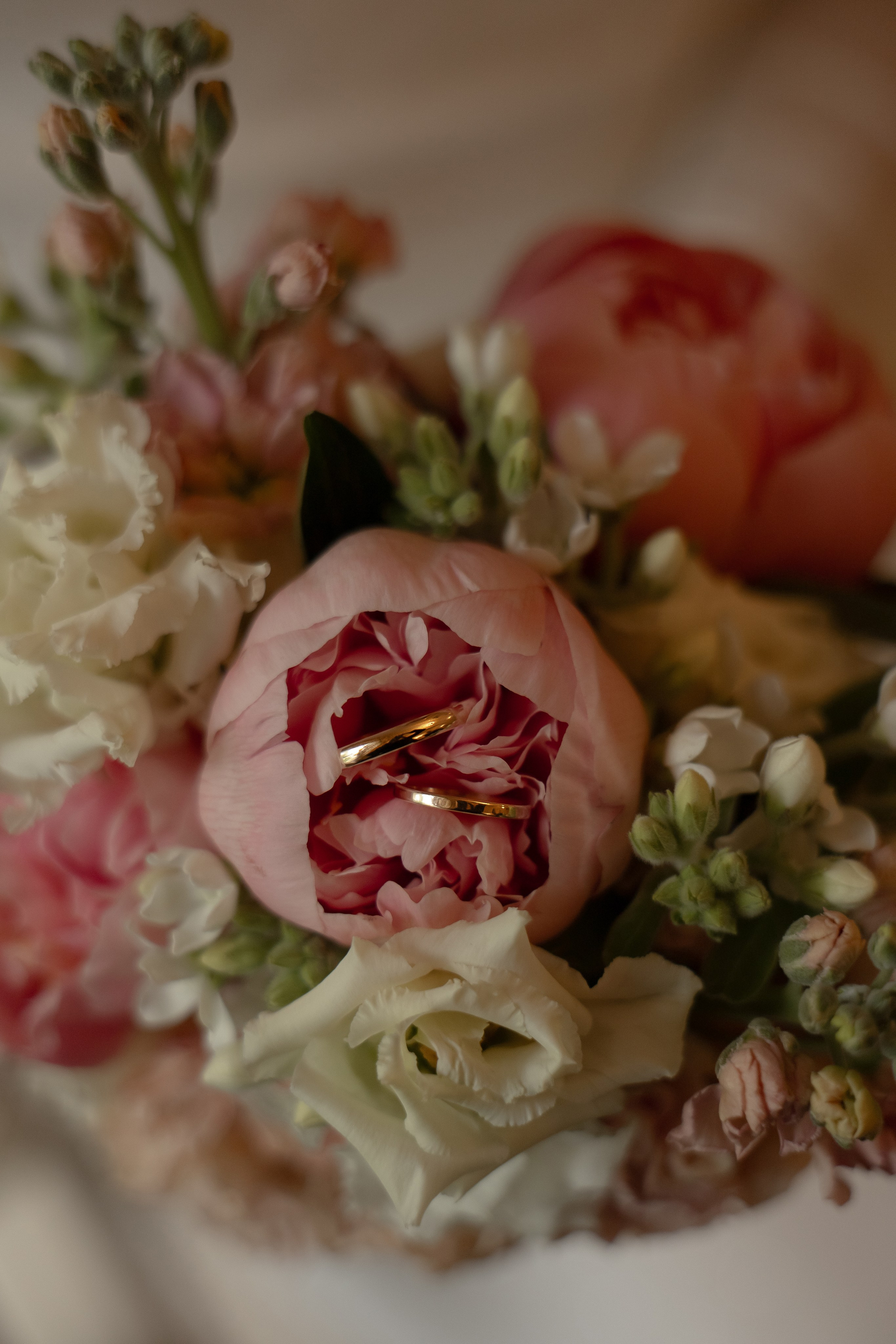 Свадьба кись. Свадебный и семейный фотограф Арина Кулёва