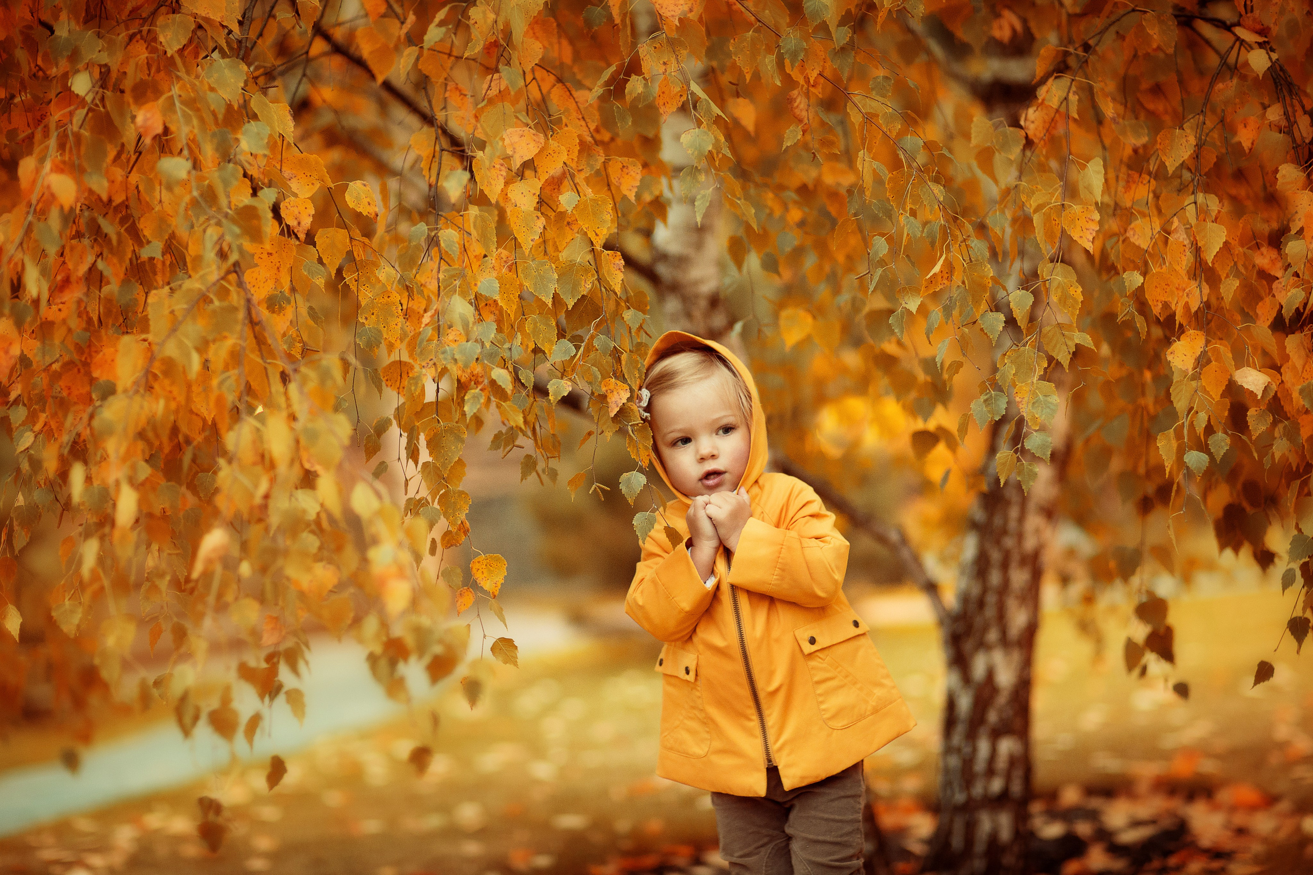 Портфолио. Карнеева Елена. Детский, семейный фотограф
