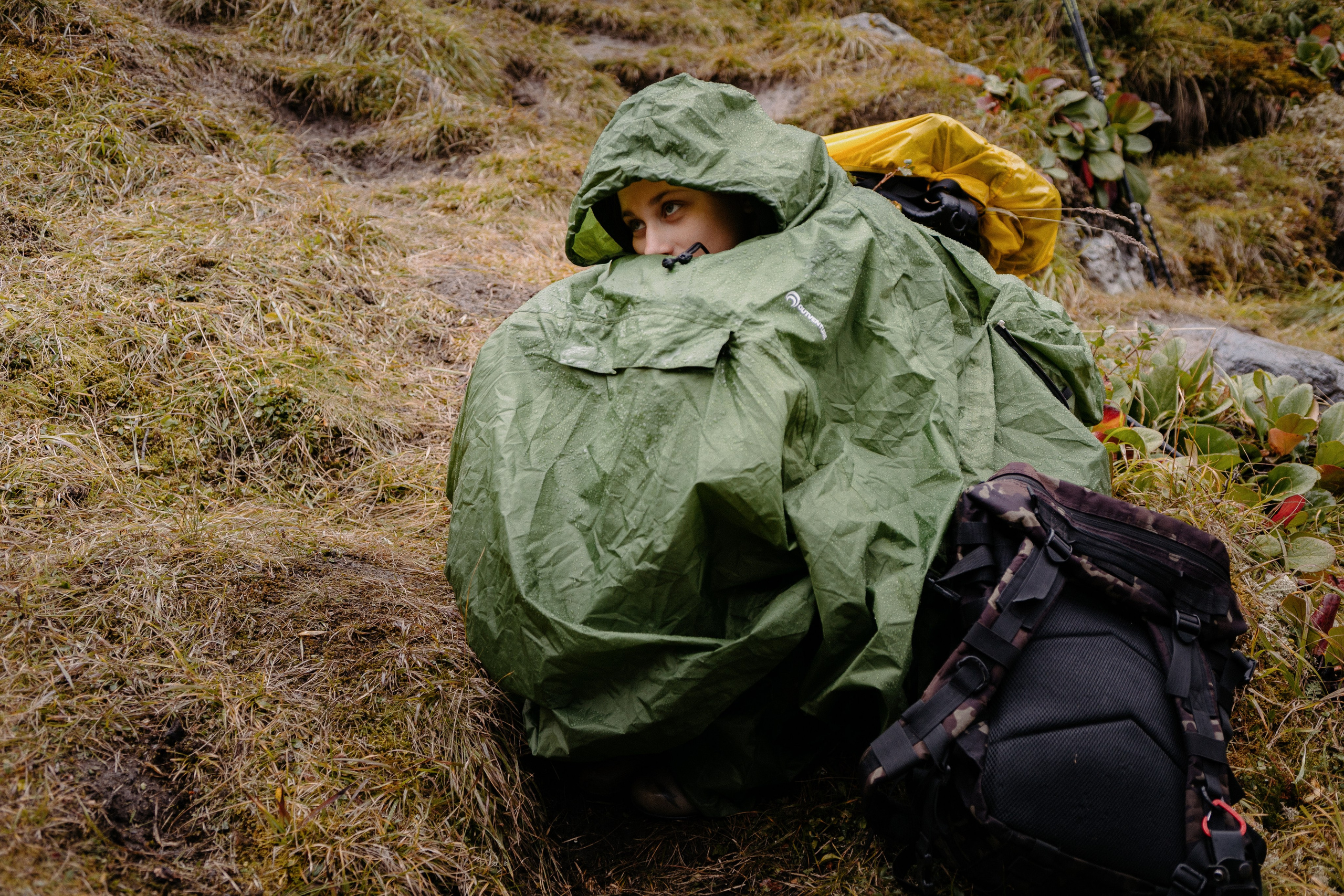 Шавлинские. Главная