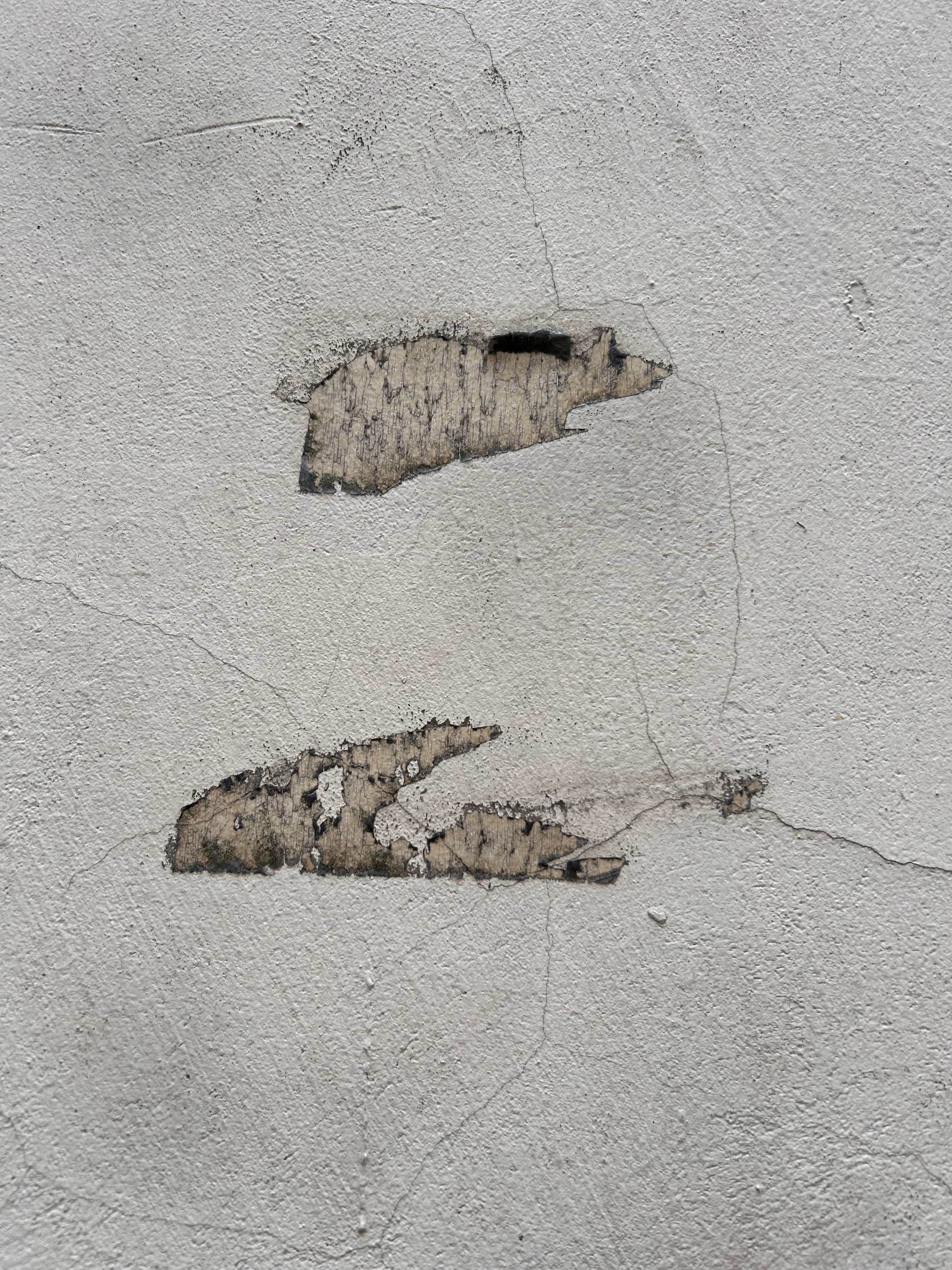 «Вижу». Ольга Пилант. АРТ, бэкстейдж, свадебная и семейная фотография, городской портрет, интерьерная фотография