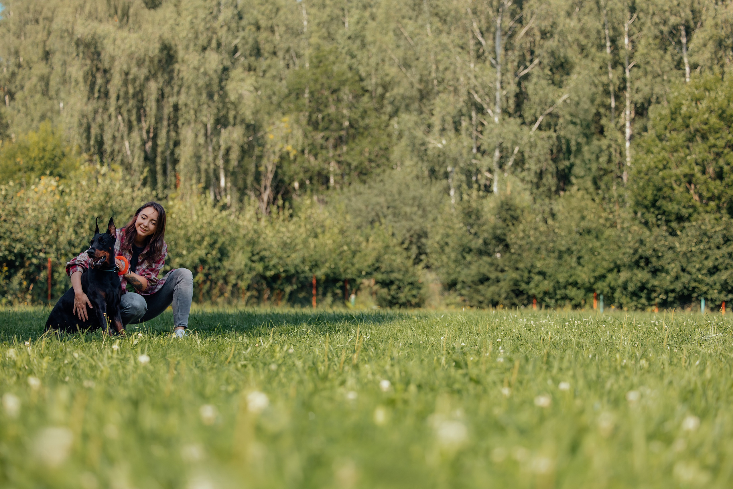 Доберман Айза. Фотограф Анималист в Москве Анастасия Жучкова
