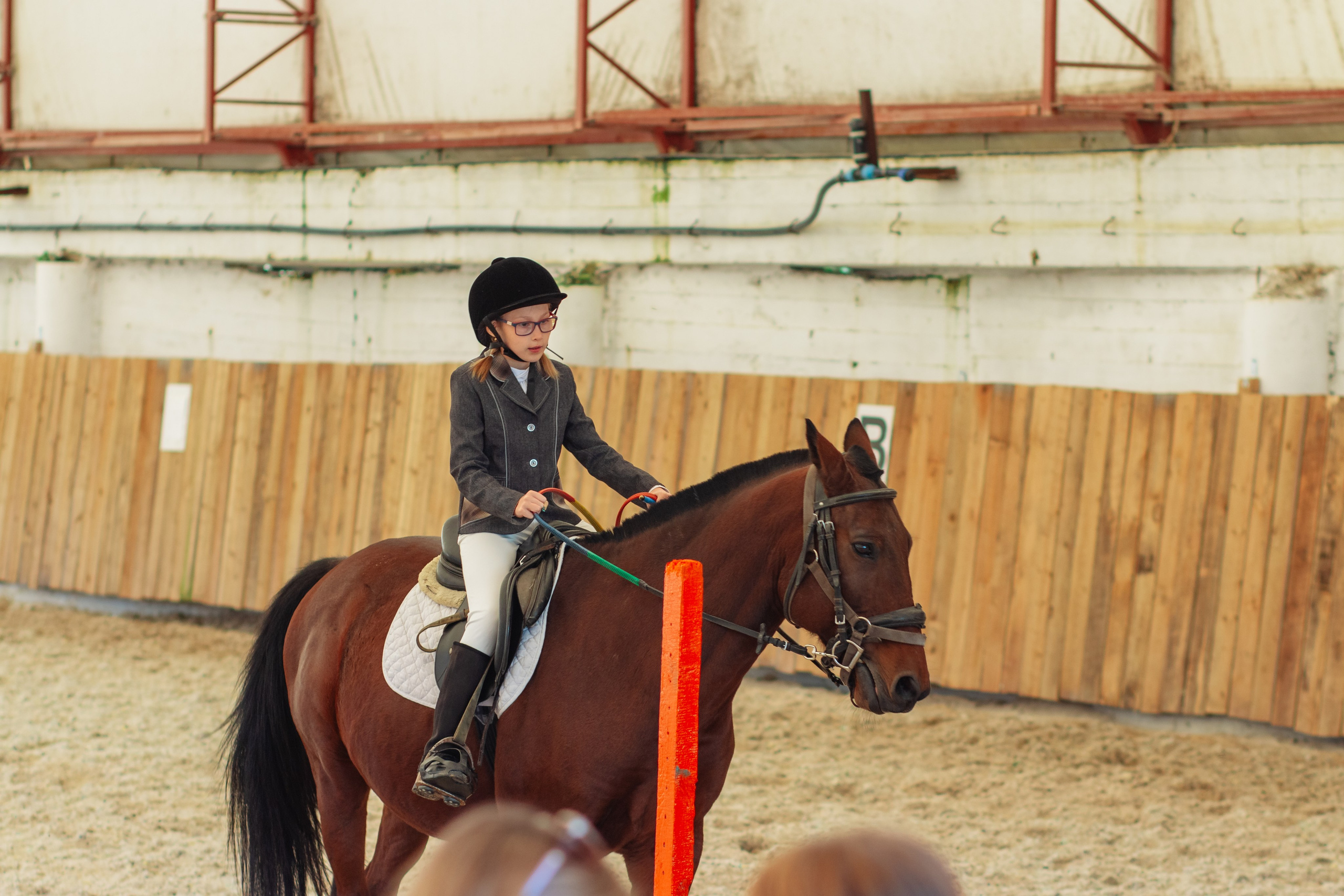 Маргуша сочи конный спорт