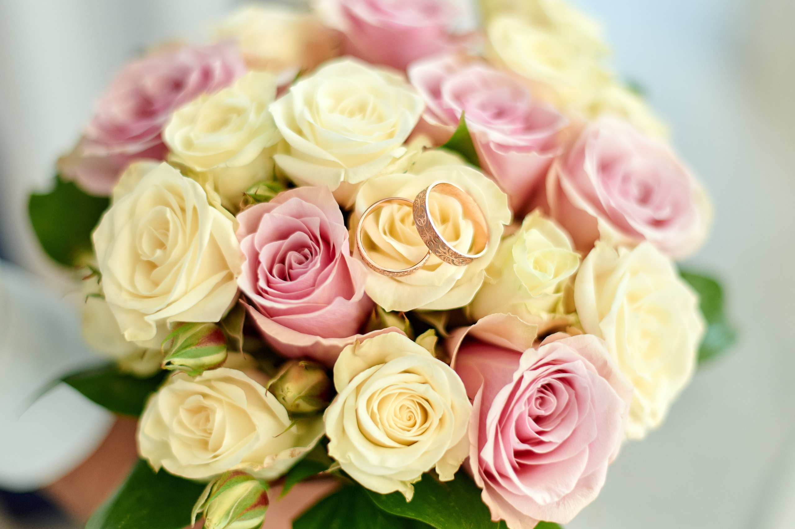 Н & О. Семейный и детский фотограф в г. Ногинске Ангелина Хасанова