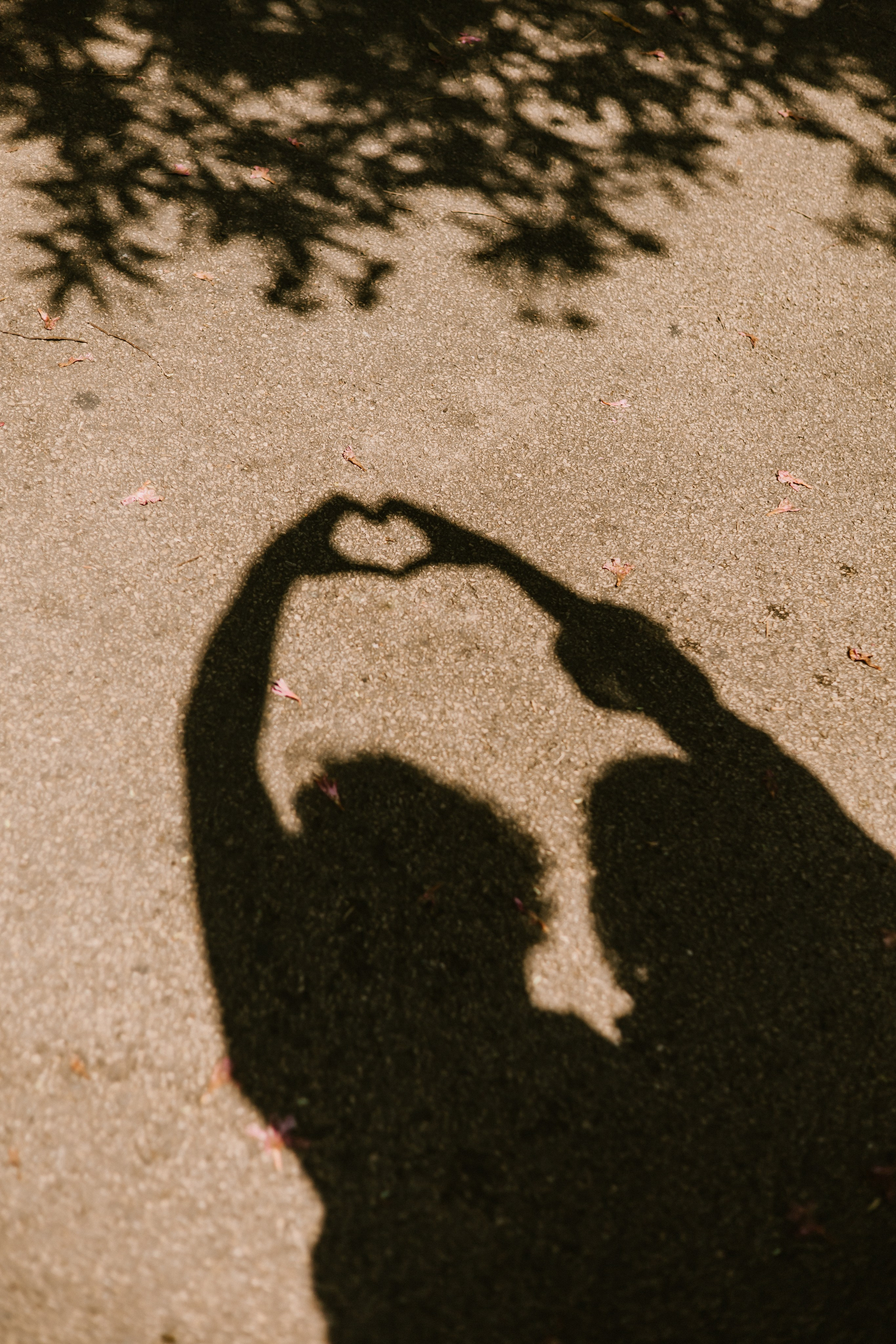 Lhkkkk. Wedding and family photographer OLGA KILVEIN