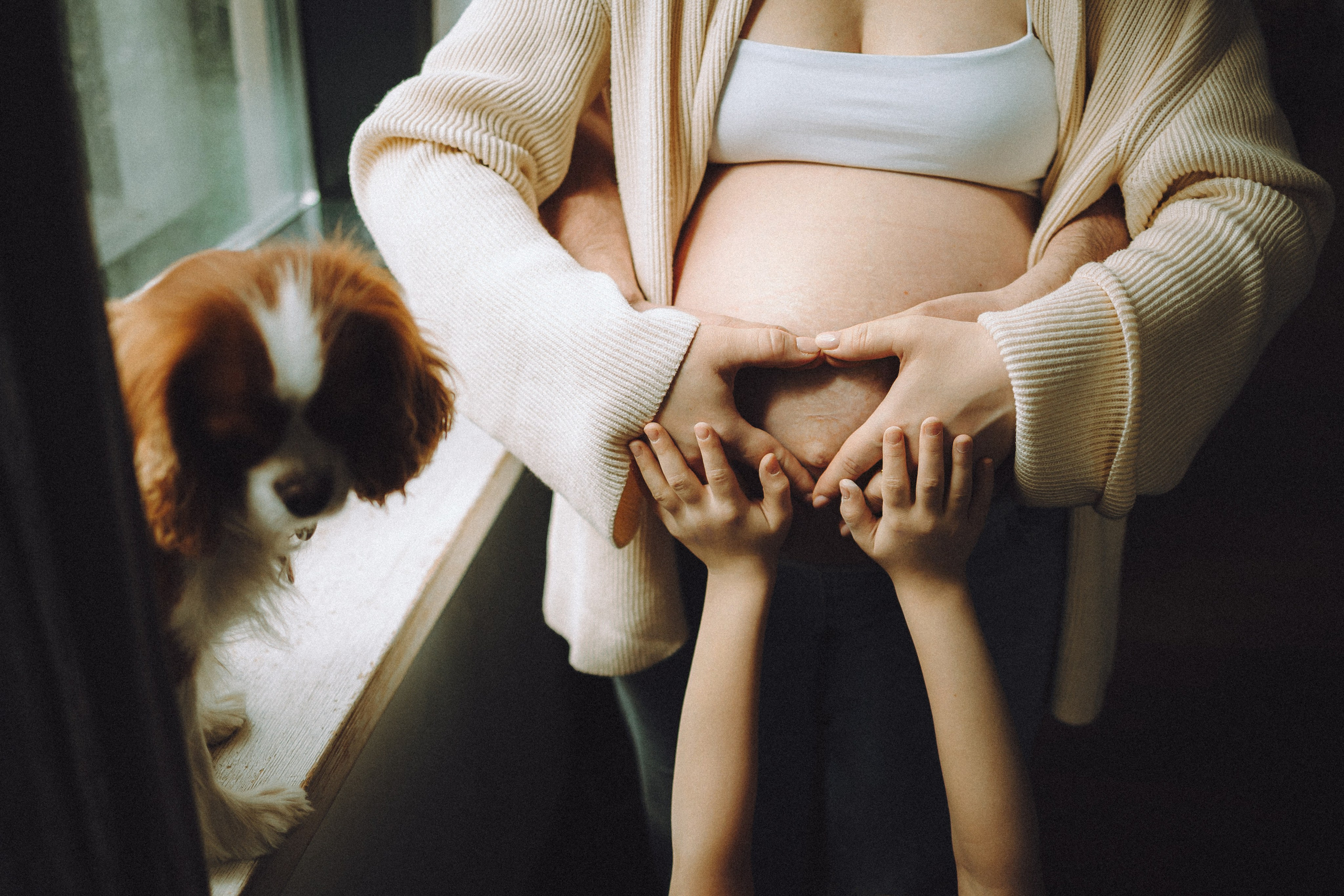 Валя, Вася, Аня и Ириска