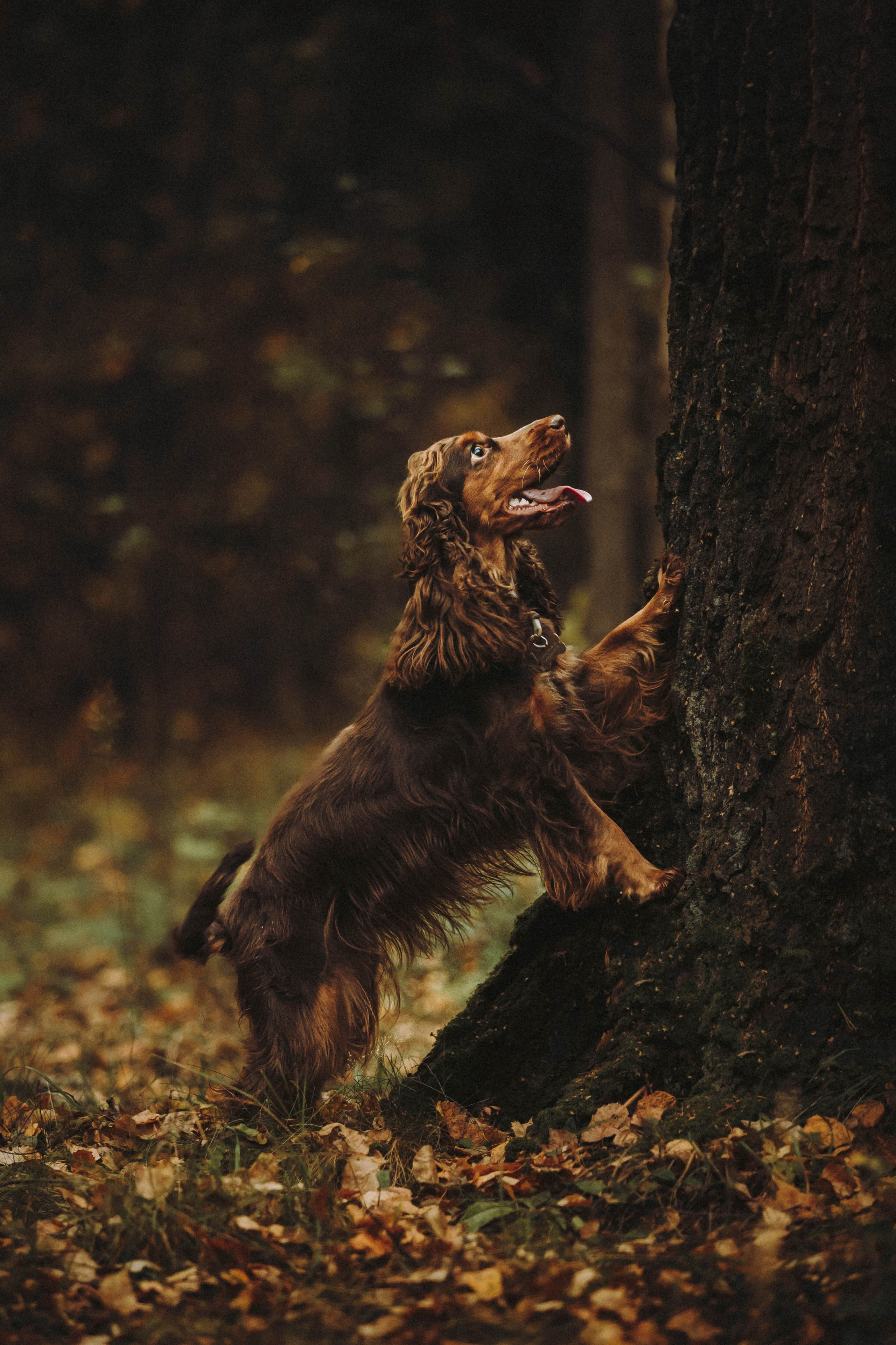 Настя, Саша и Эстер