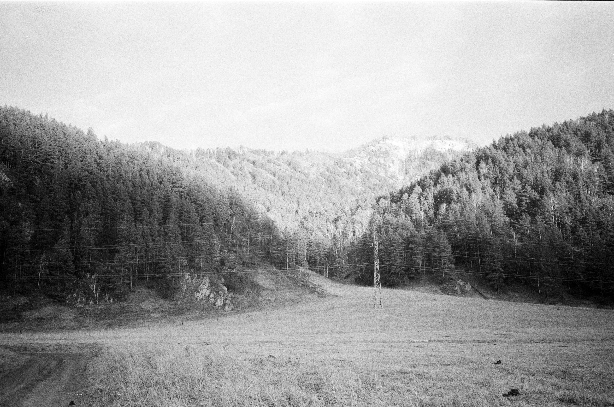 Olympus AF-10 SUPER / Ilford PAN 400 / Алтай, зима 2023 год