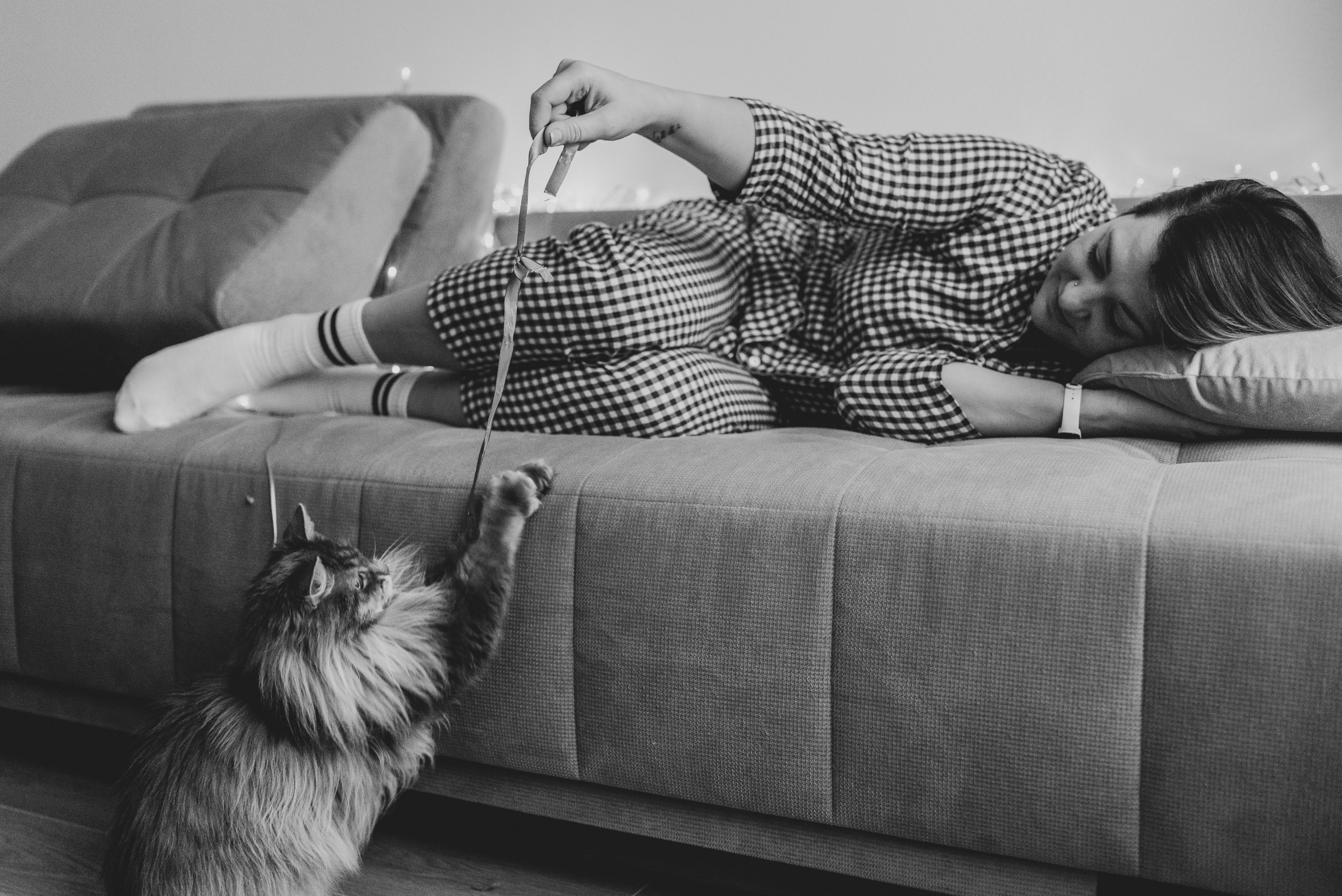 Vika & Kot. Natalia Finch Photography — Family, Kids & Pet Photographer in Chicago, IL