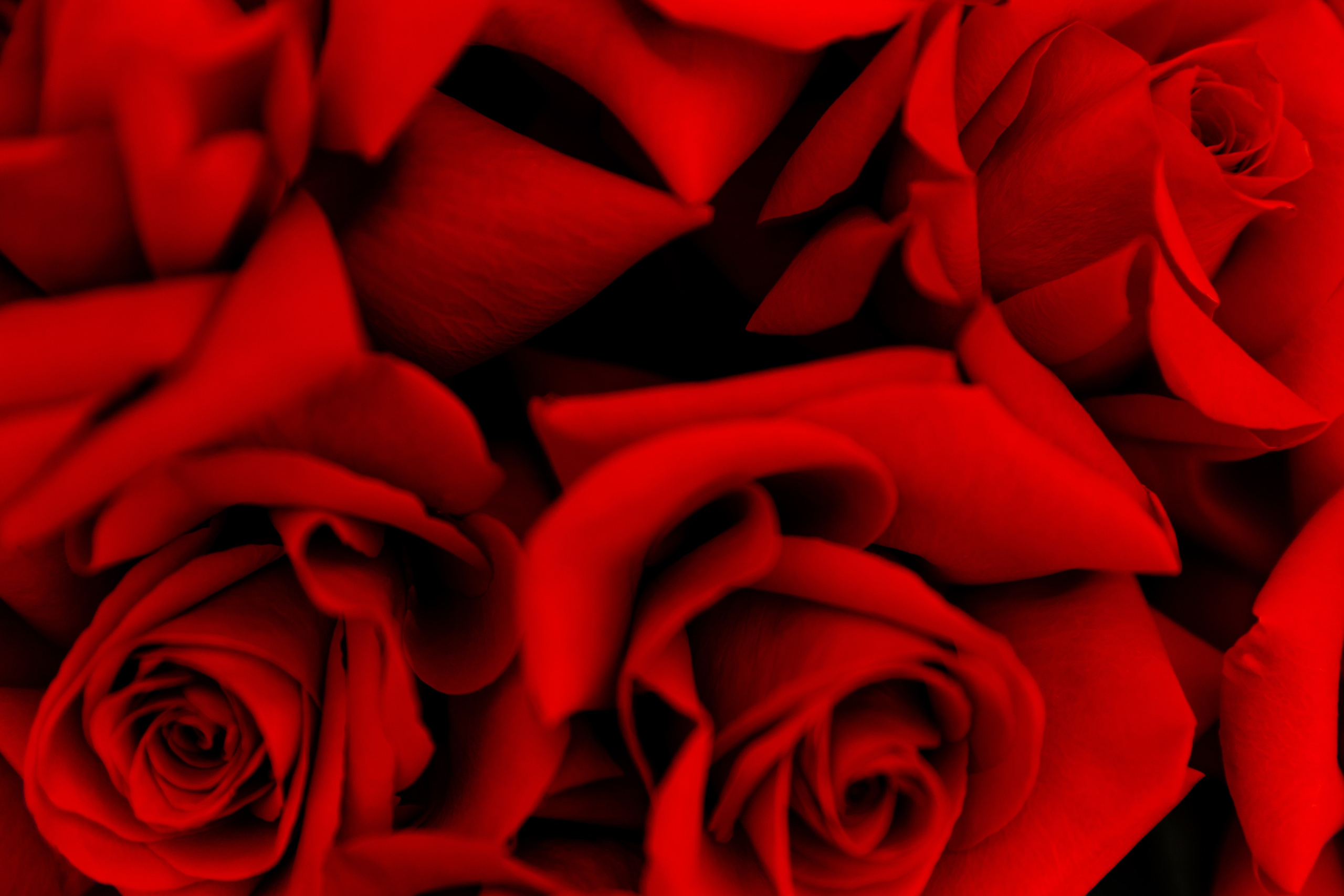 Свадебный день Влада и Кристины. Свадебный фотограф Анна Бабахина