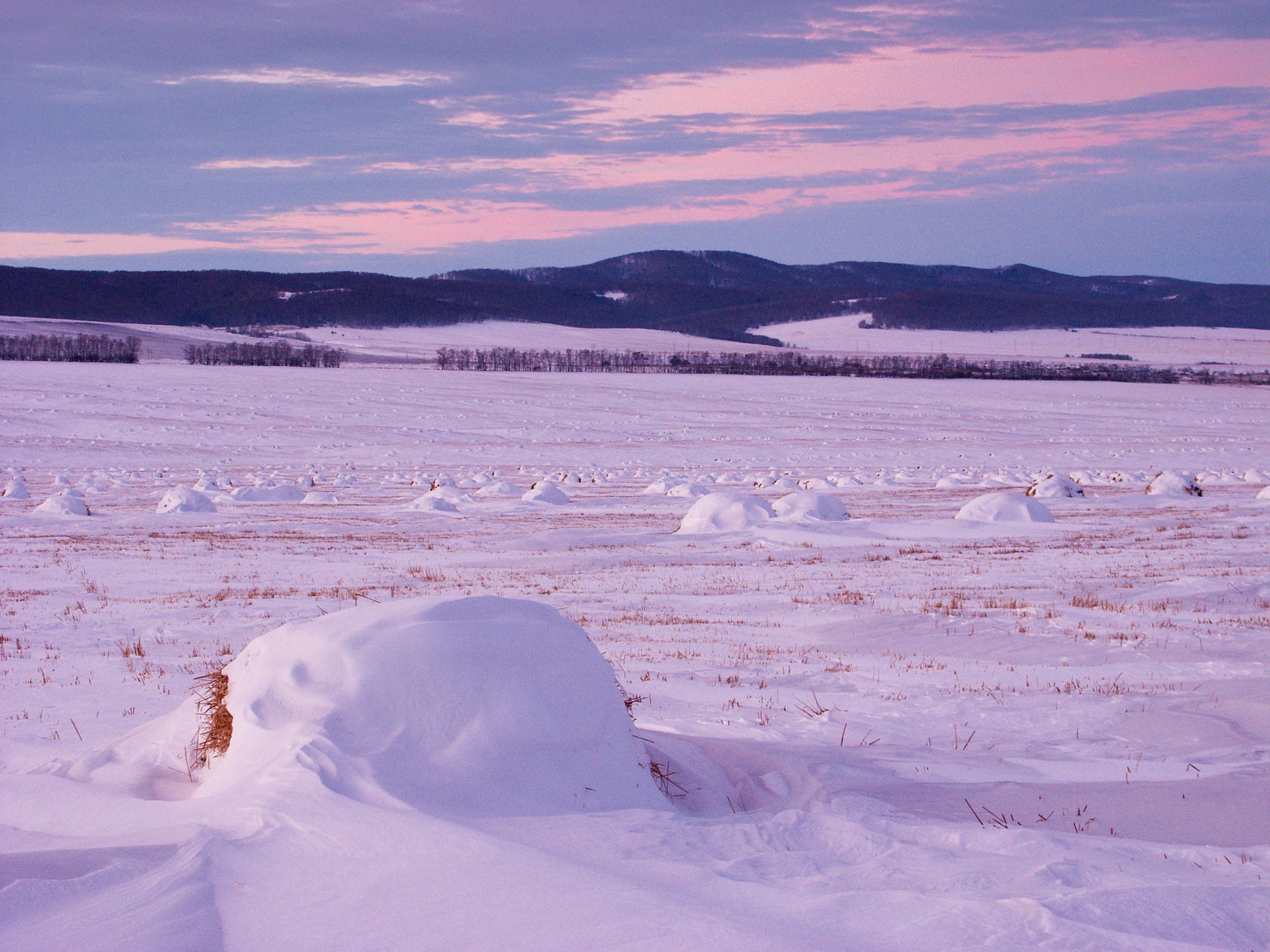 Свадебный фотограф Геленджик
