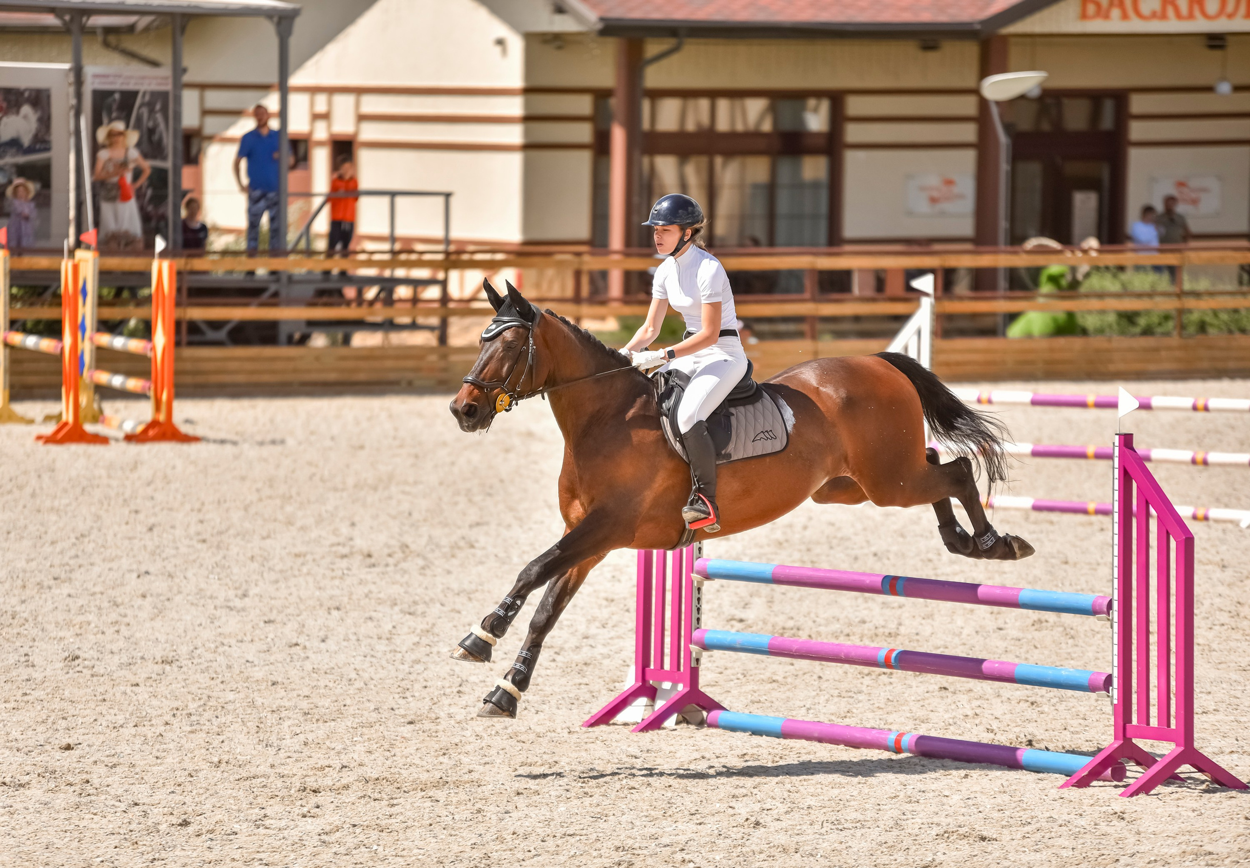 Репортажная съемка конных мероприятий. Конный фотограф из Москвы Ирина Бондаркова