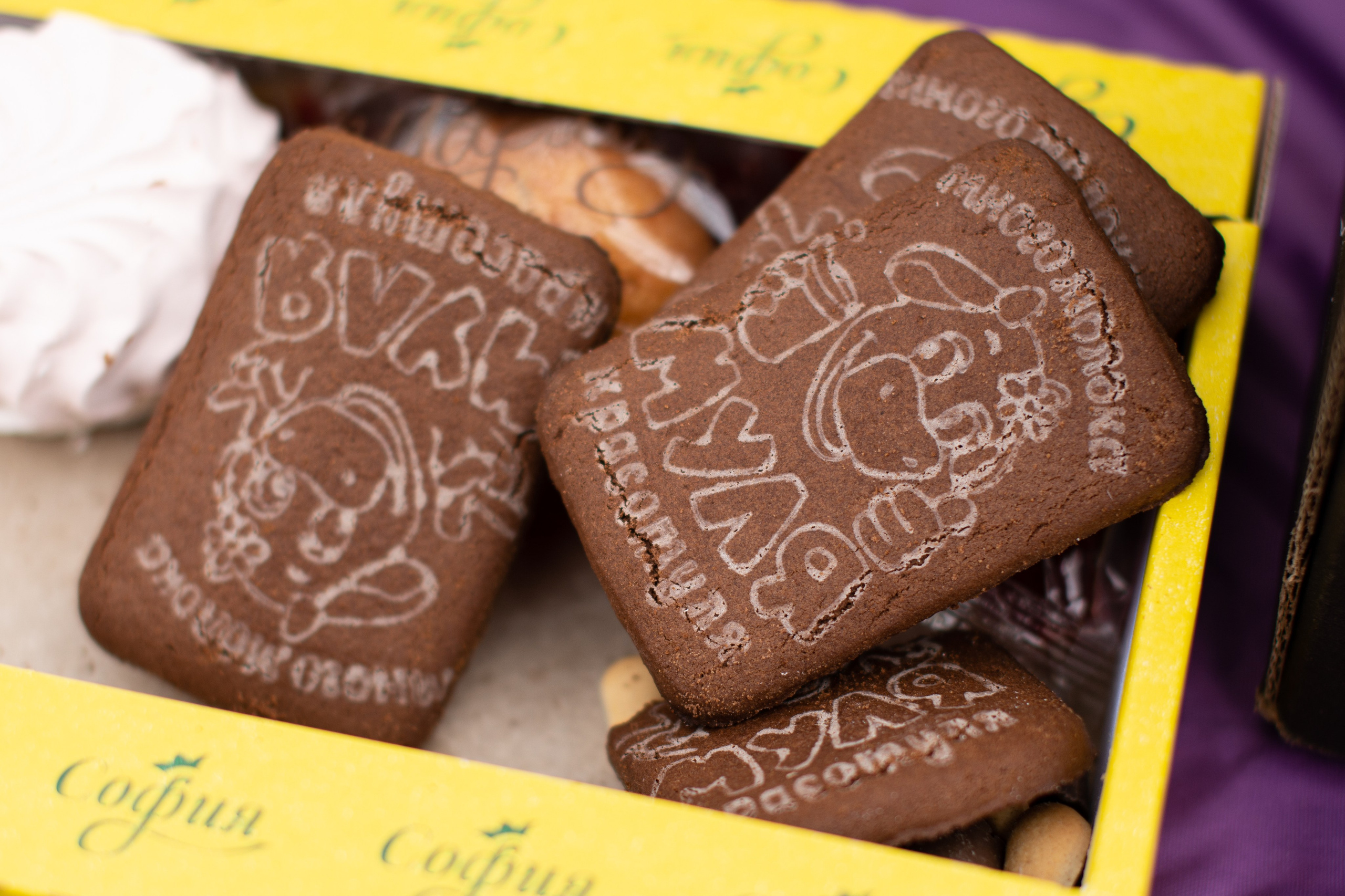 Том Сойер Фест ул. Кардовского 25 (репортаж). Портретная и репортажная съёмка