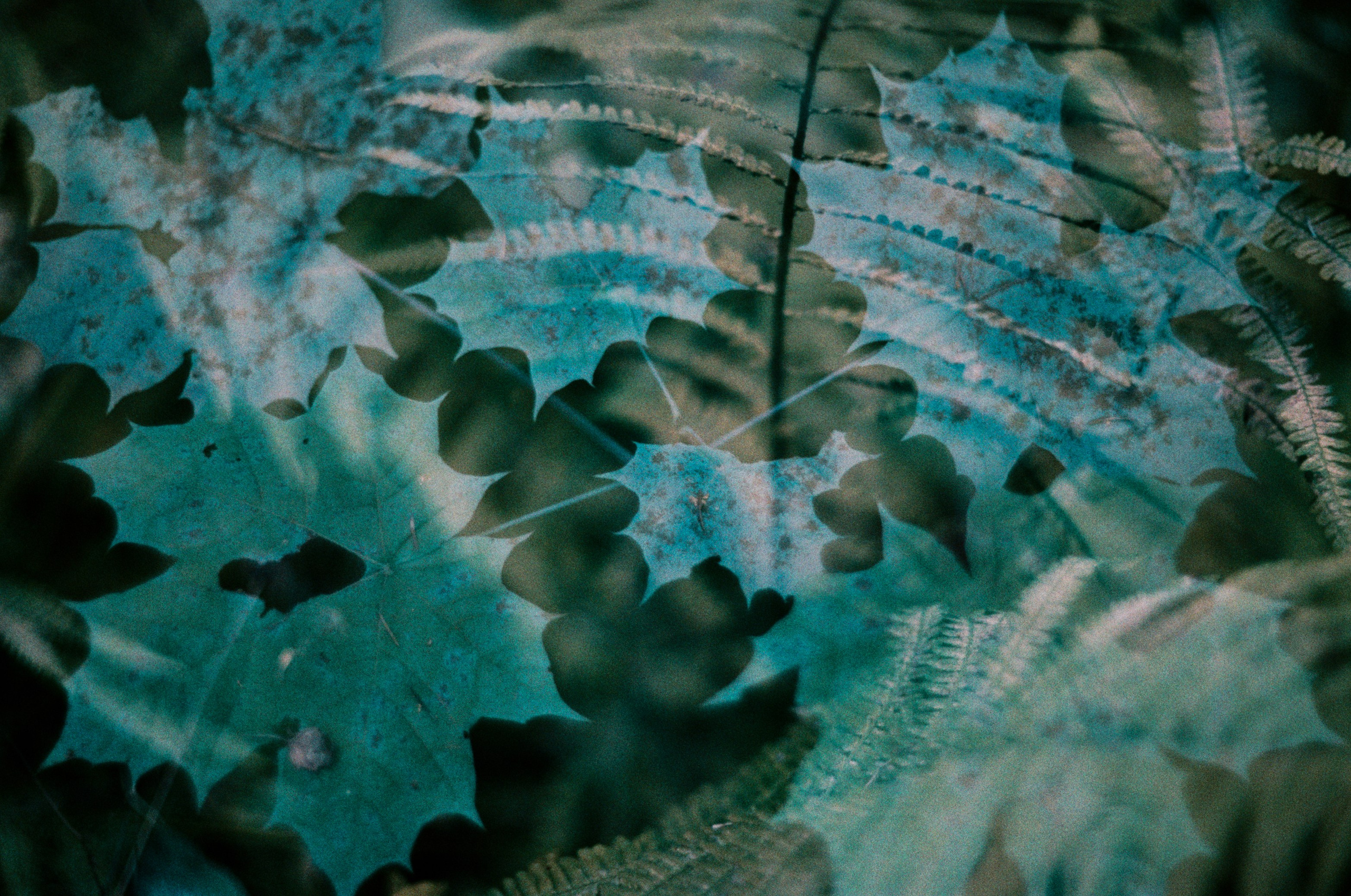 Post blue. EVER EXPOSED