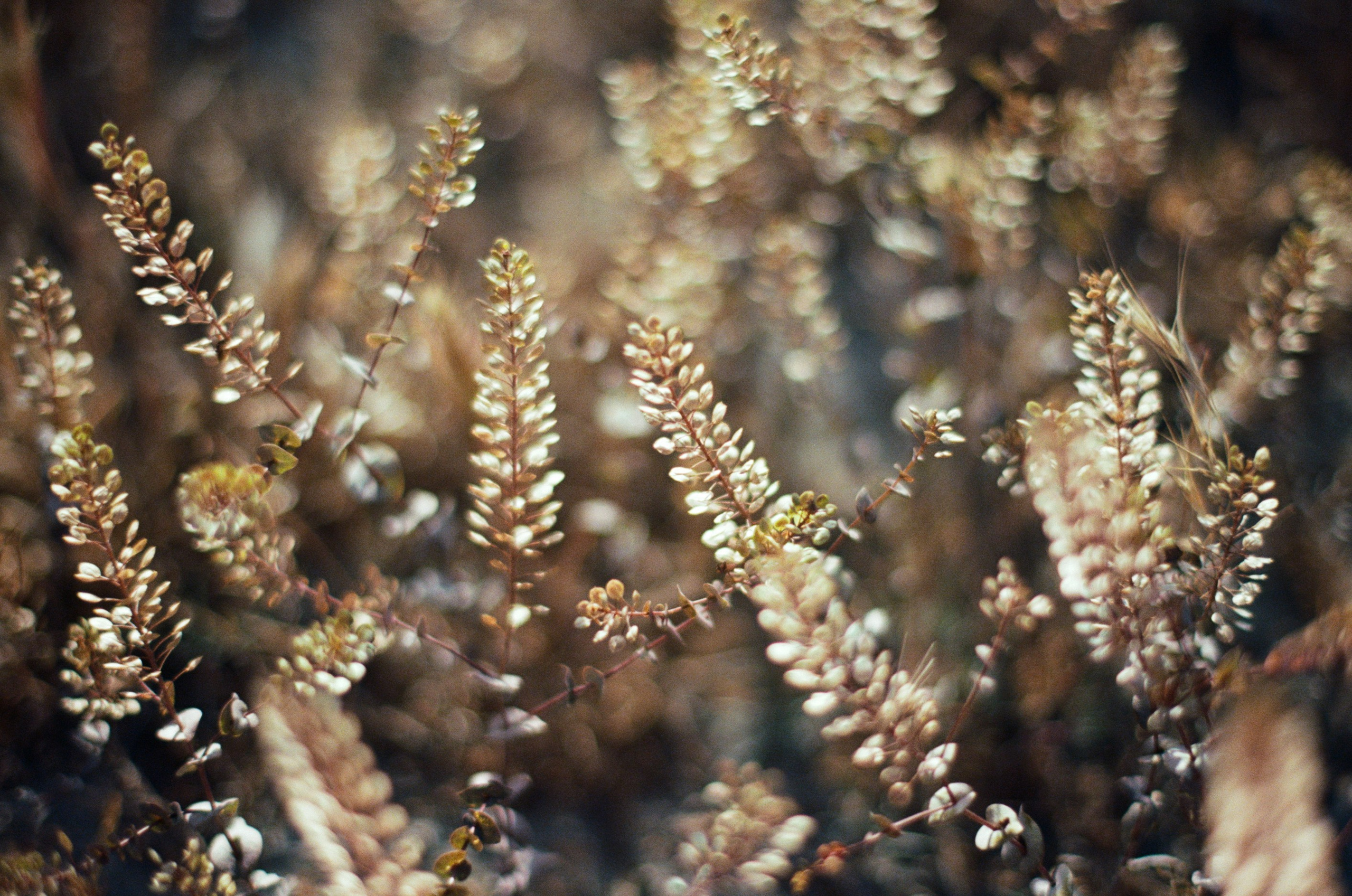 Kool-aid // ukraine, crimea V. EVER EXPOSED