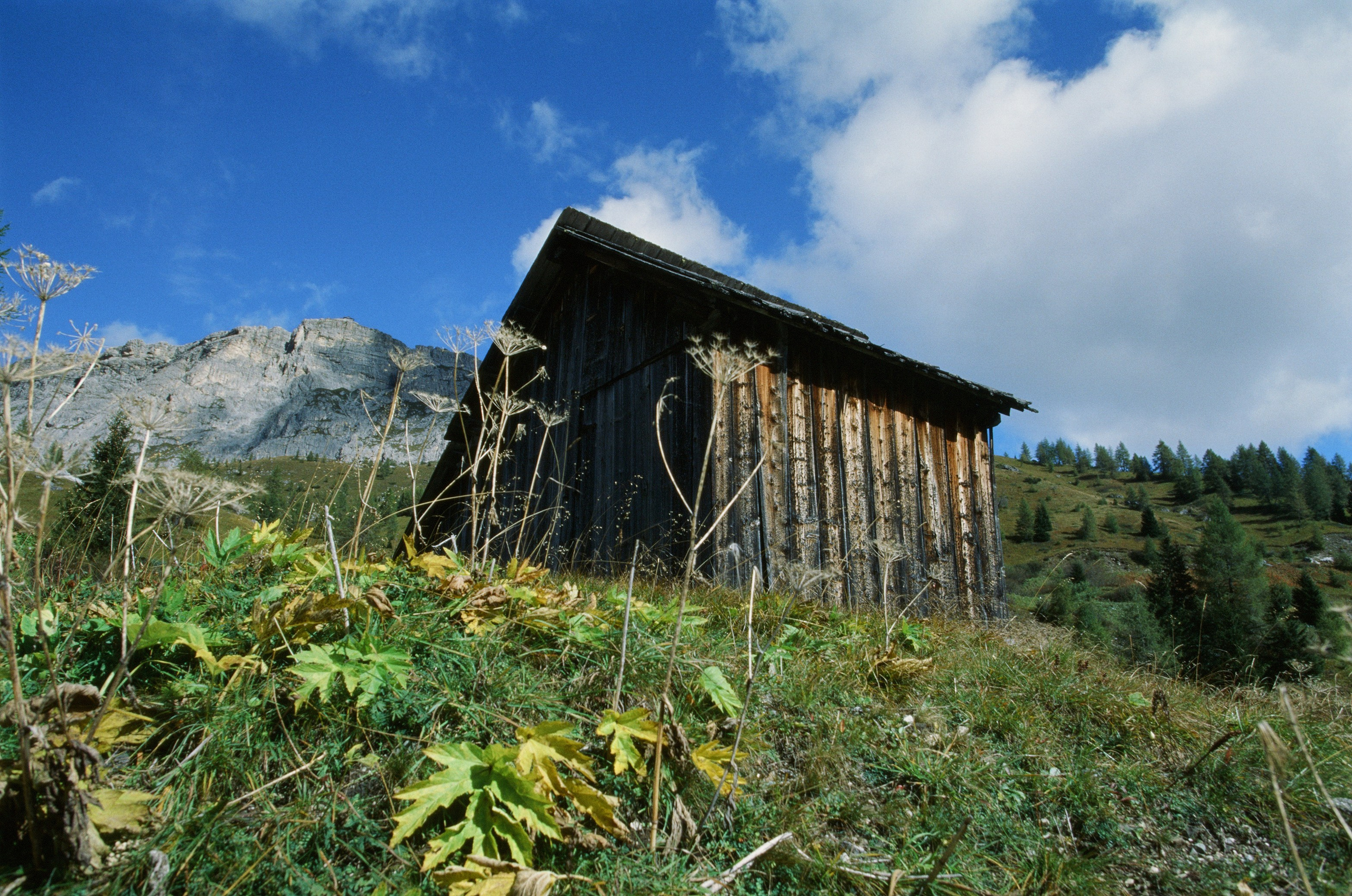 Il dono della vita // italy, dolomites III. EVER EXPOSED