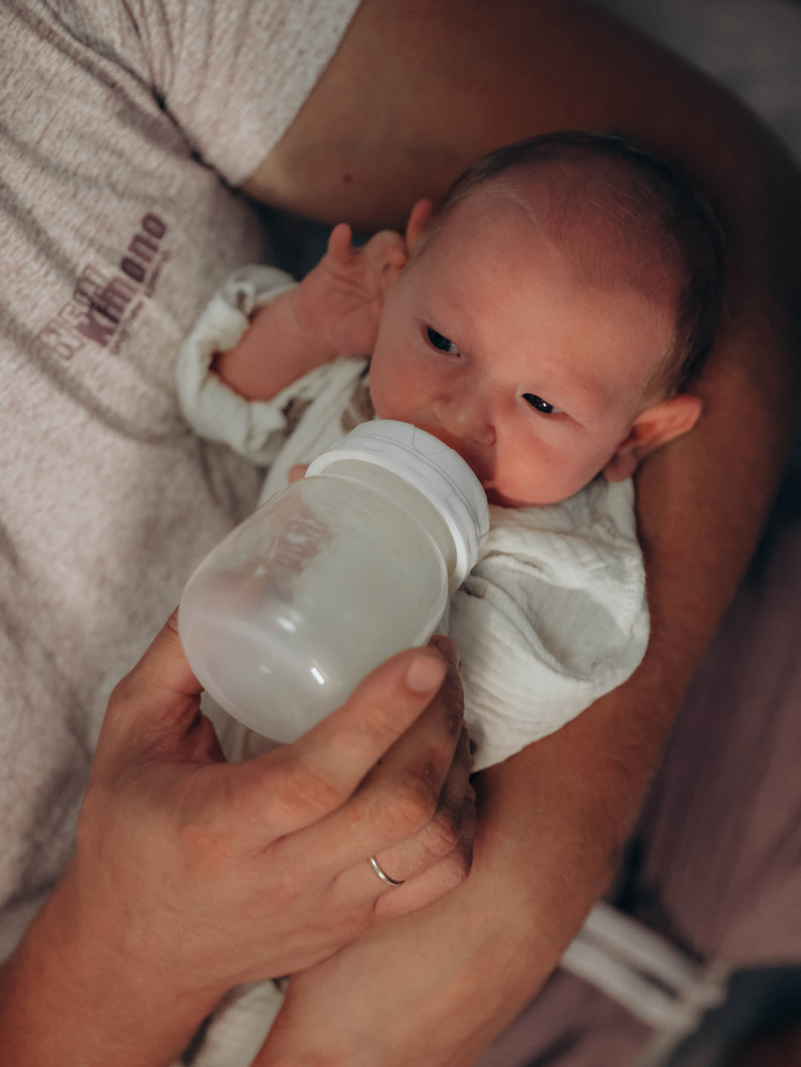 Любовь и котики. Мультифотограф Динара Ахмедзянова