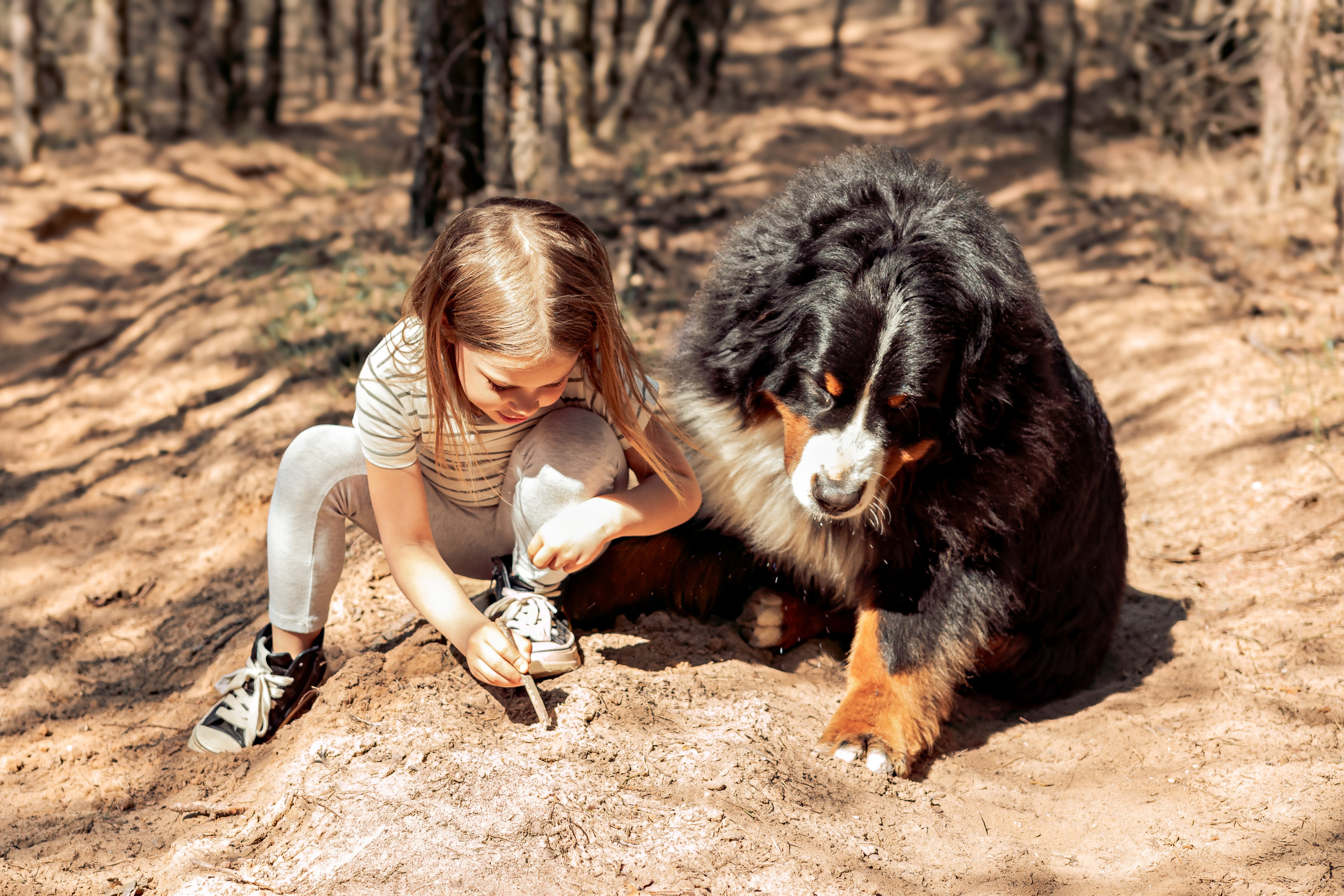 Семейная фотосессия в лесу