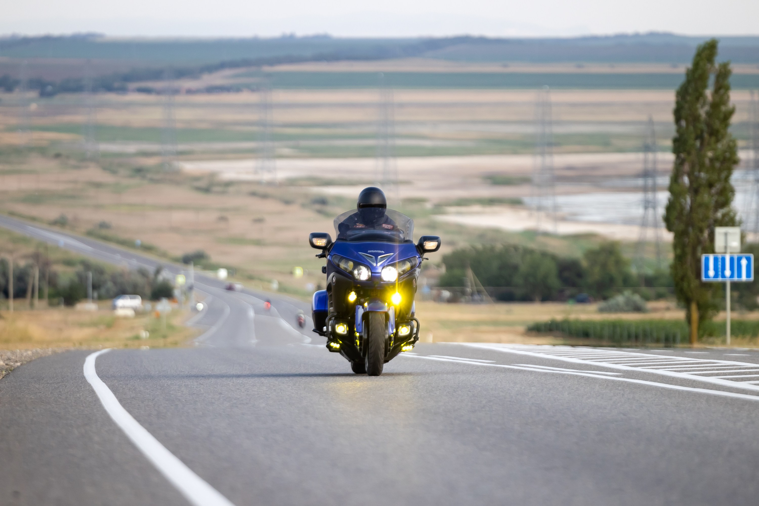 Южное мини-сафари в Тамани. Июль 2024. Фотограф Владимир Охрименко