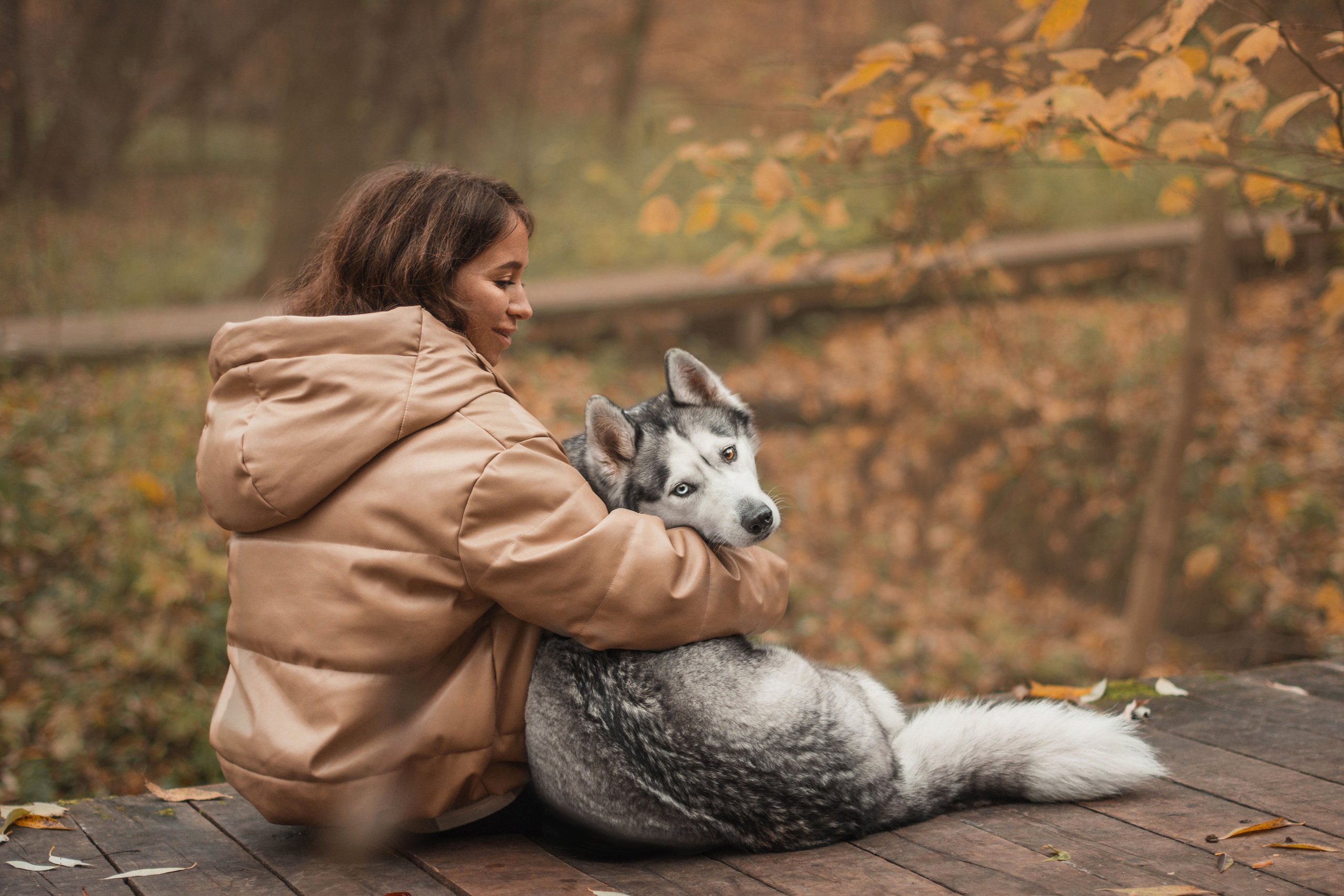 Семейная фотосессия с собакой в парке в Москве осенью. Фотограф собак, анималист в Москве Кира Яковлева