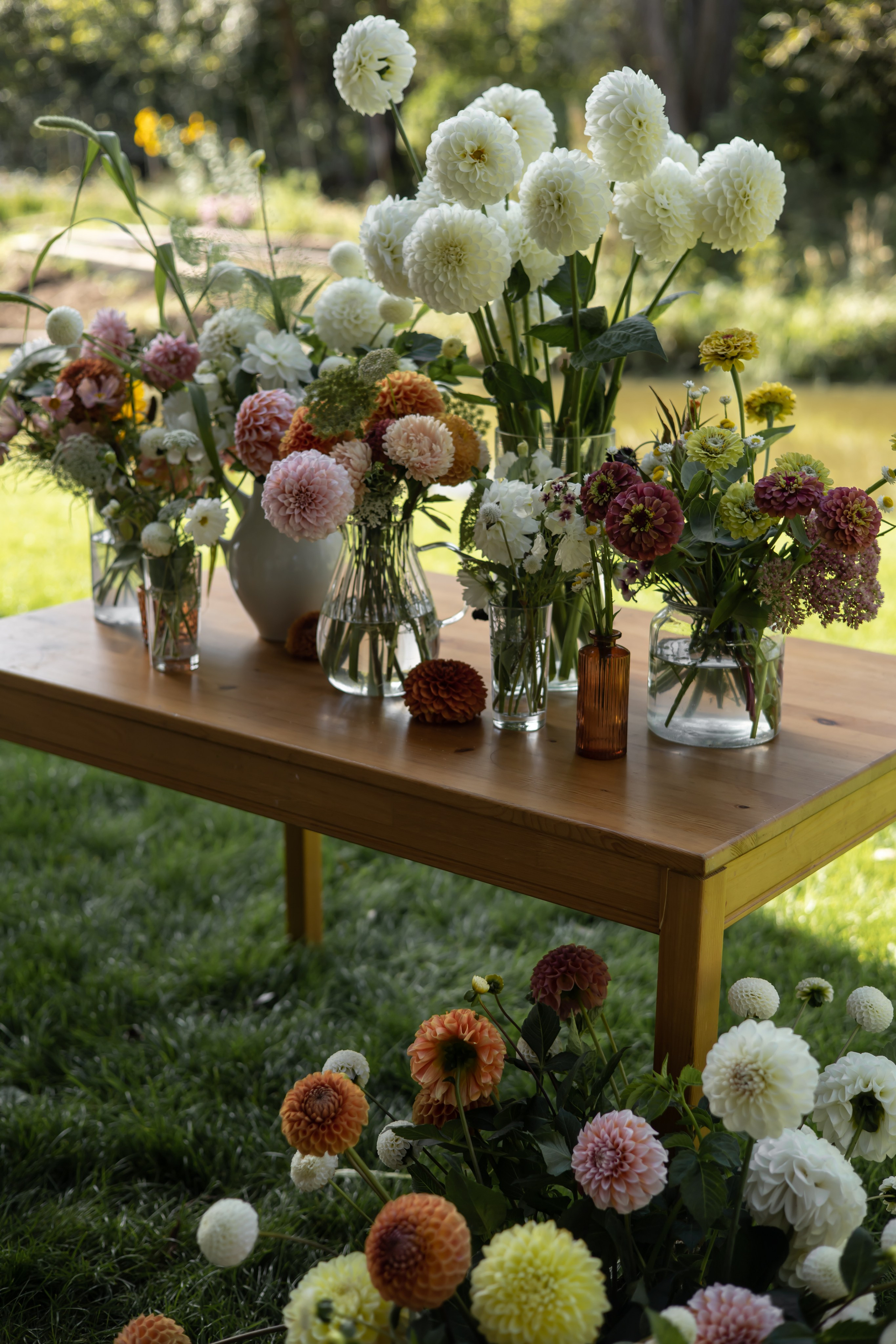 ДИНИЯ. Фотограф Элла Ефимова