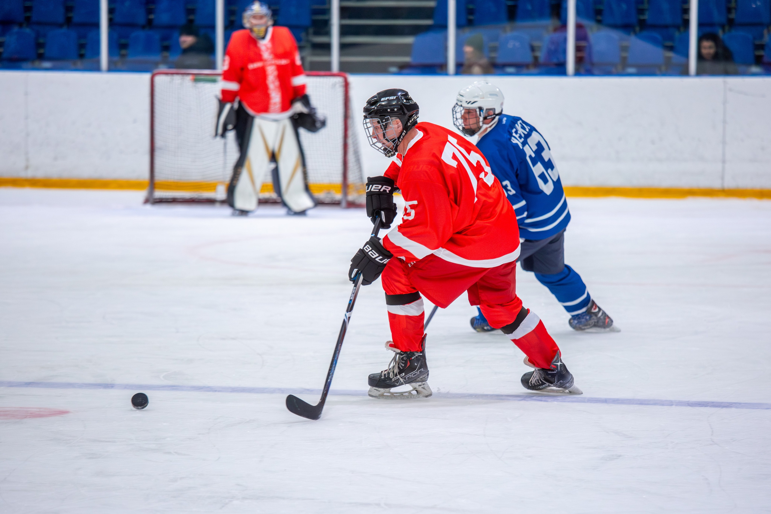 Чемпионат по хоккею. Репортажный, семейный, свадебный, портретный фотограф