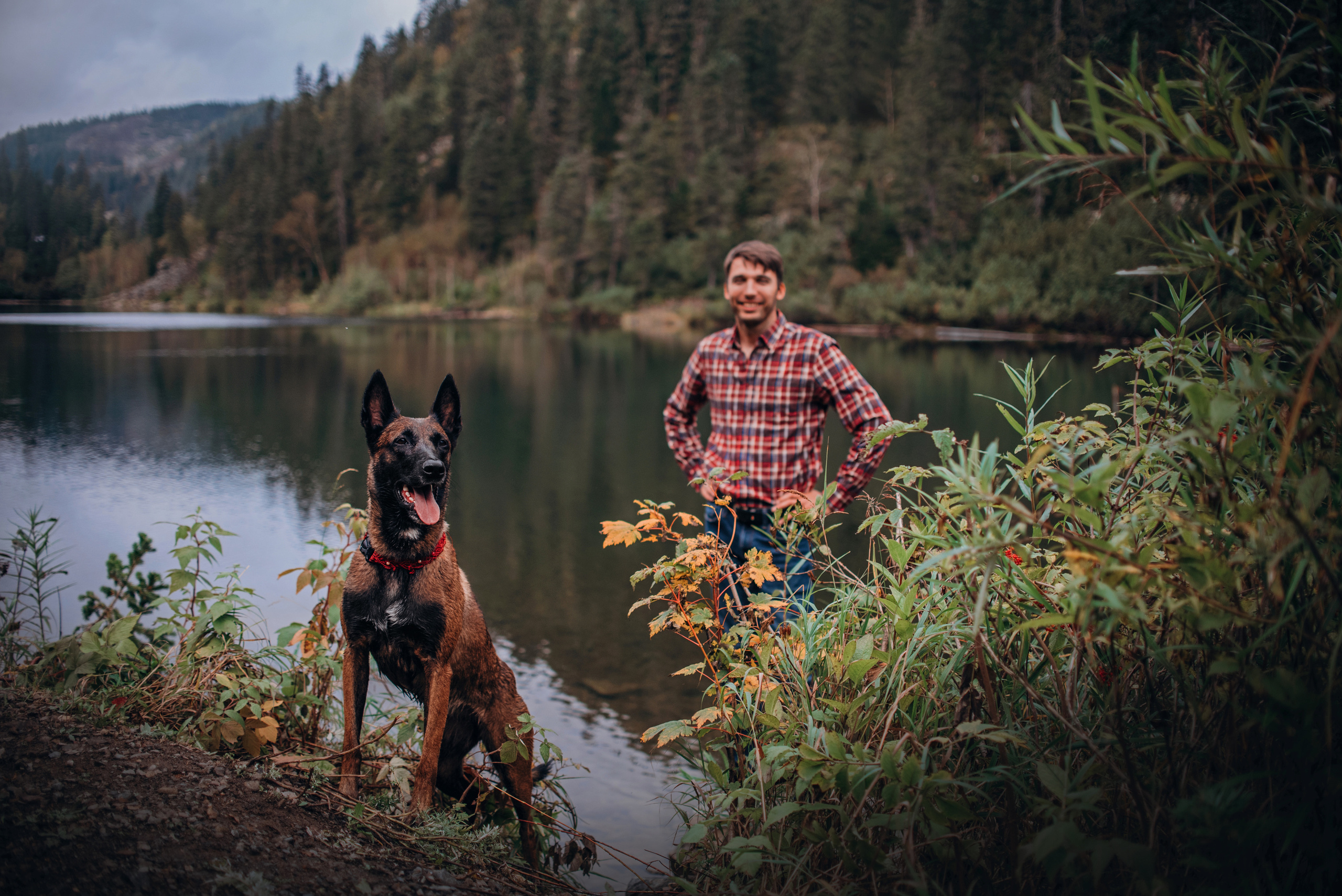 Амут: кеесхонд Верона, малинуа Бэрри, Юля и Леша. Портфолио