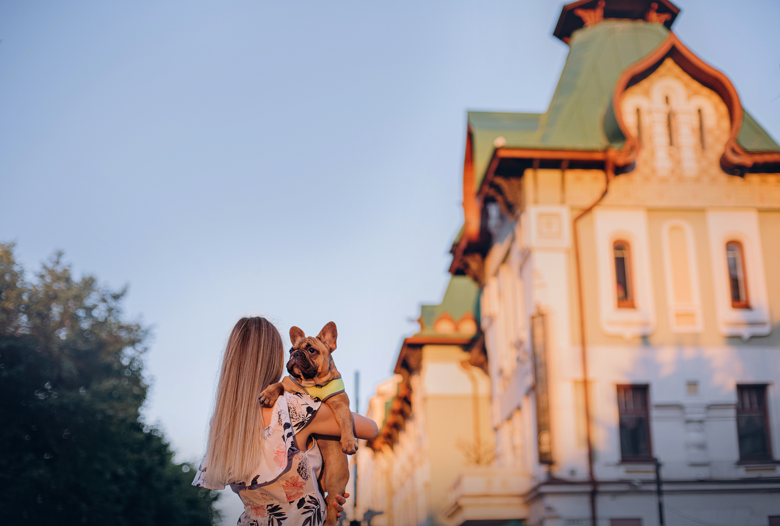 Рассвет в городе: французские бульдоги Лео и Фрэнк и Алена. Портфолио