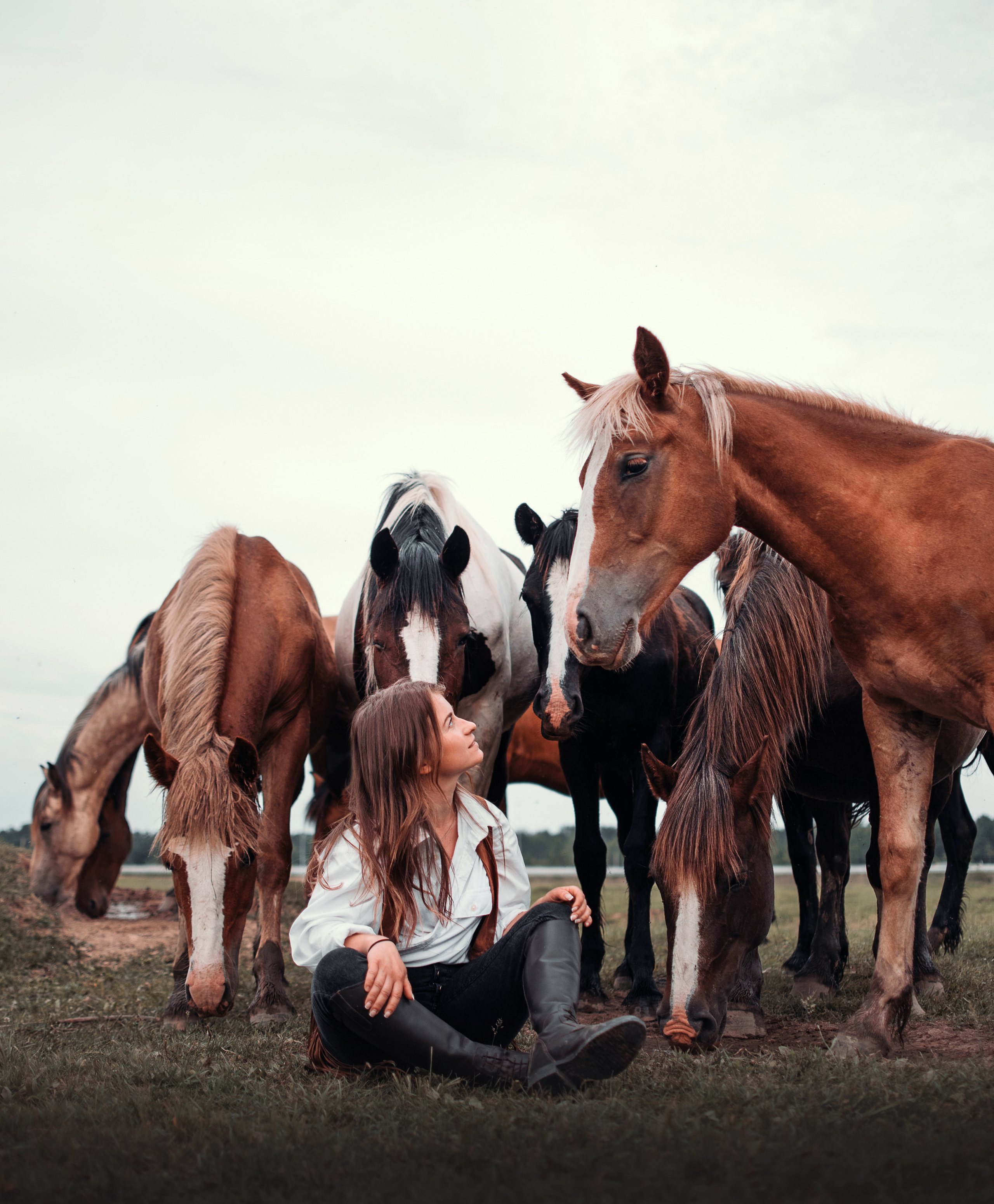 Конное: Катя и табун. Портфолио