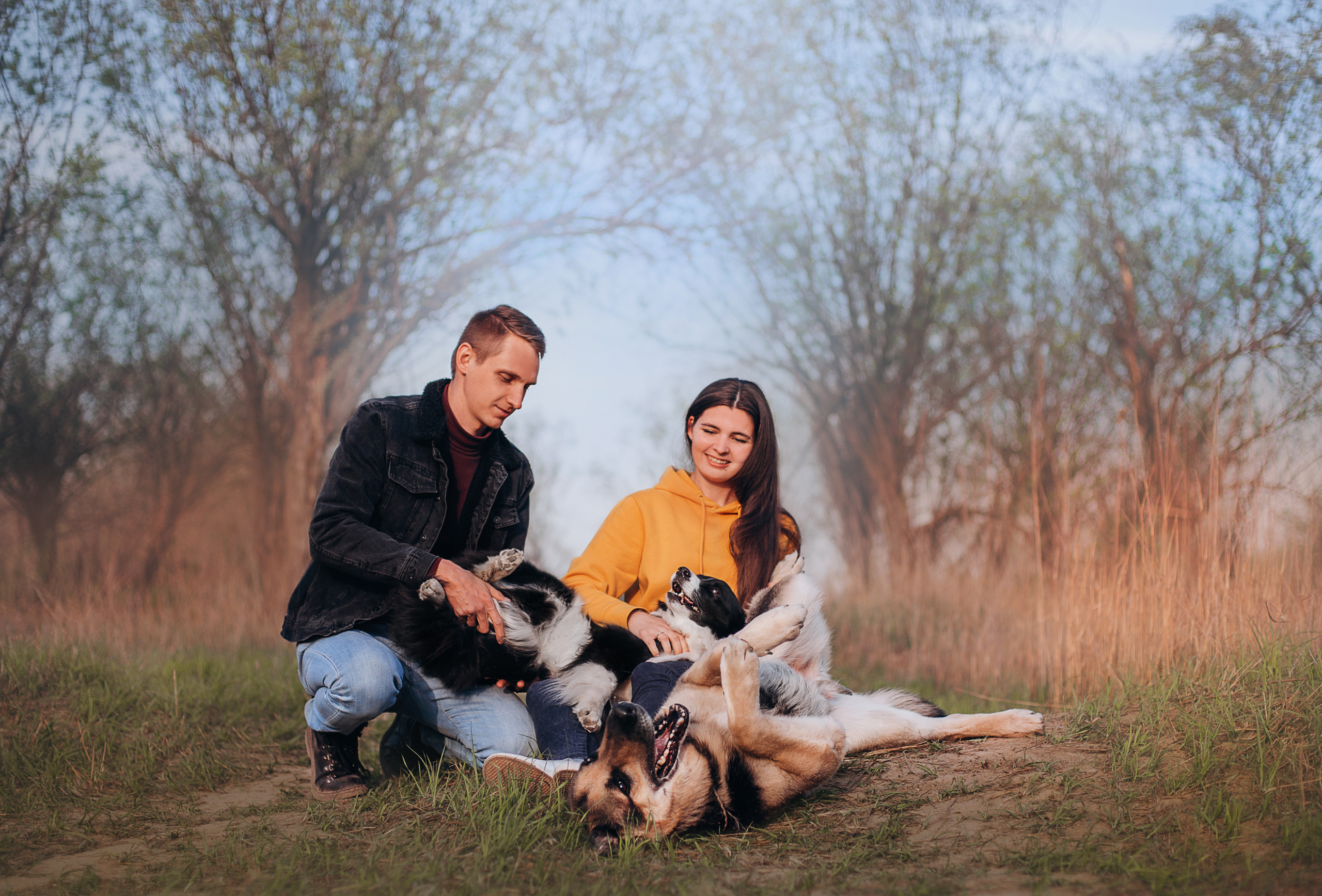 Бордер-колли Юппи, овчар Тайфун, Наташа и Дима. Портфолио