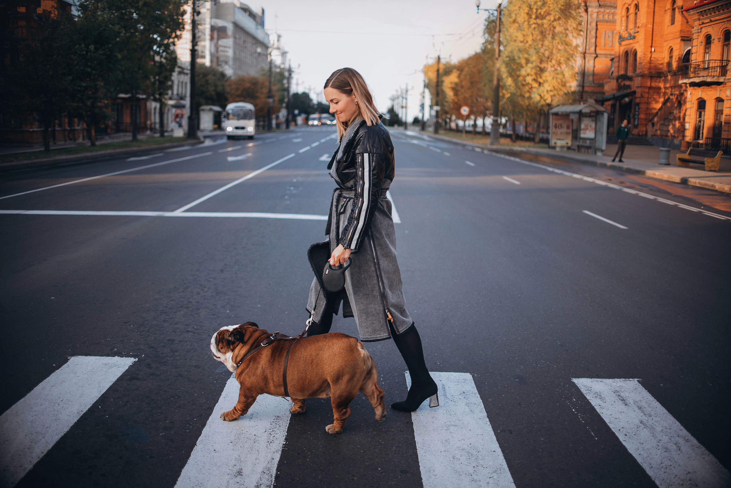 Рассвет в городе: бульдог Роберт и Юля. Портфолио